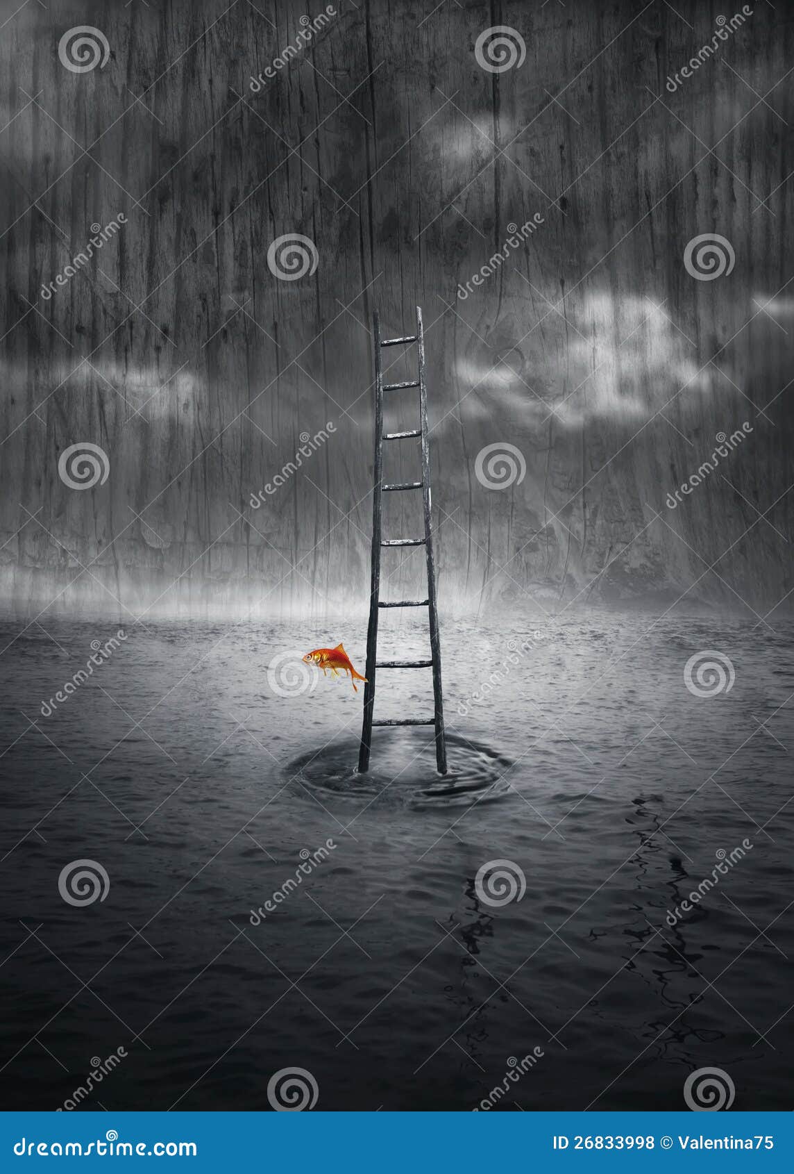 Escale acima. Fundo da fantasia com uma escada de madeira fora da água e um peixe colorido que saltam em um ambiente dramático em preto e branco