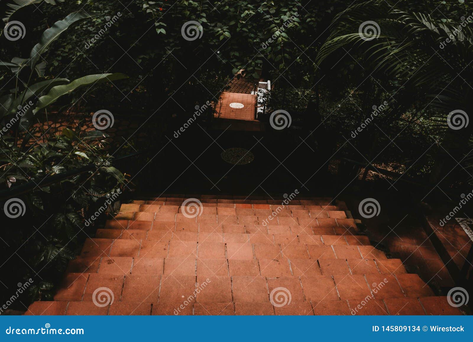 Escalera Abajo En Un Jardin Verde Hermoso Foto De Archivo Imagen De Ambiente Hierba 145809134