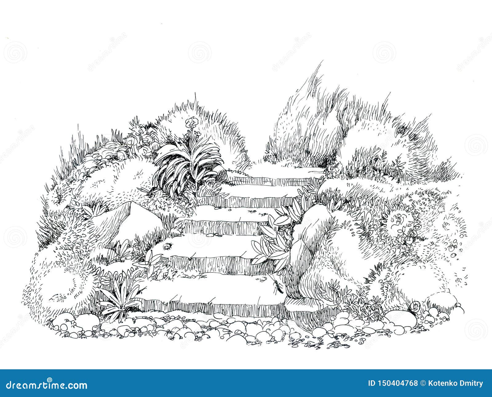 Escalera En El Jardín Viejo Matorrales De La Hierba Y De Las Flores, Dibujo  De La Tinta Stock de ilustración - Ilustración de hierba, flores: 150404768