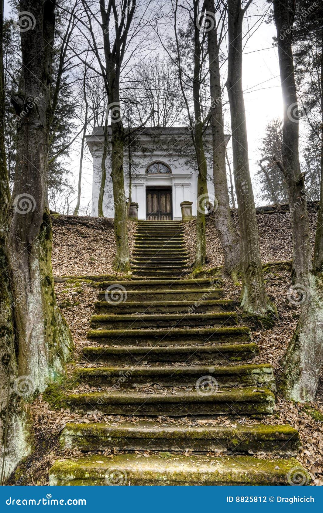 Escaleras al mausoleo foto de archivo. Imagen de conmemorativo - 8825812
