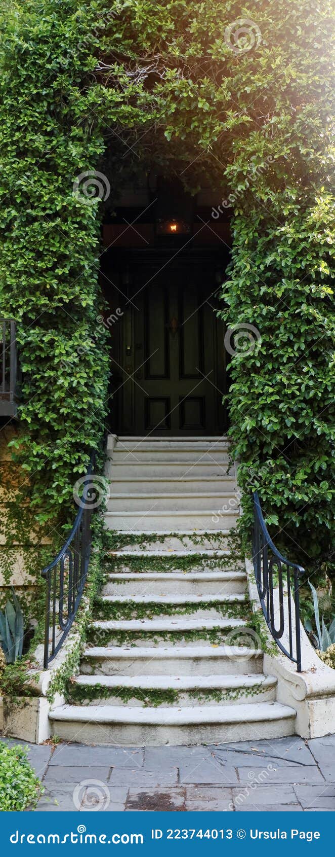 Escaleras Cubiertas Vegetación Escalonadas Hacia Un Edificio O Casa. Imagen de archivo - Imagen de calzada, frontalidad: 223744013