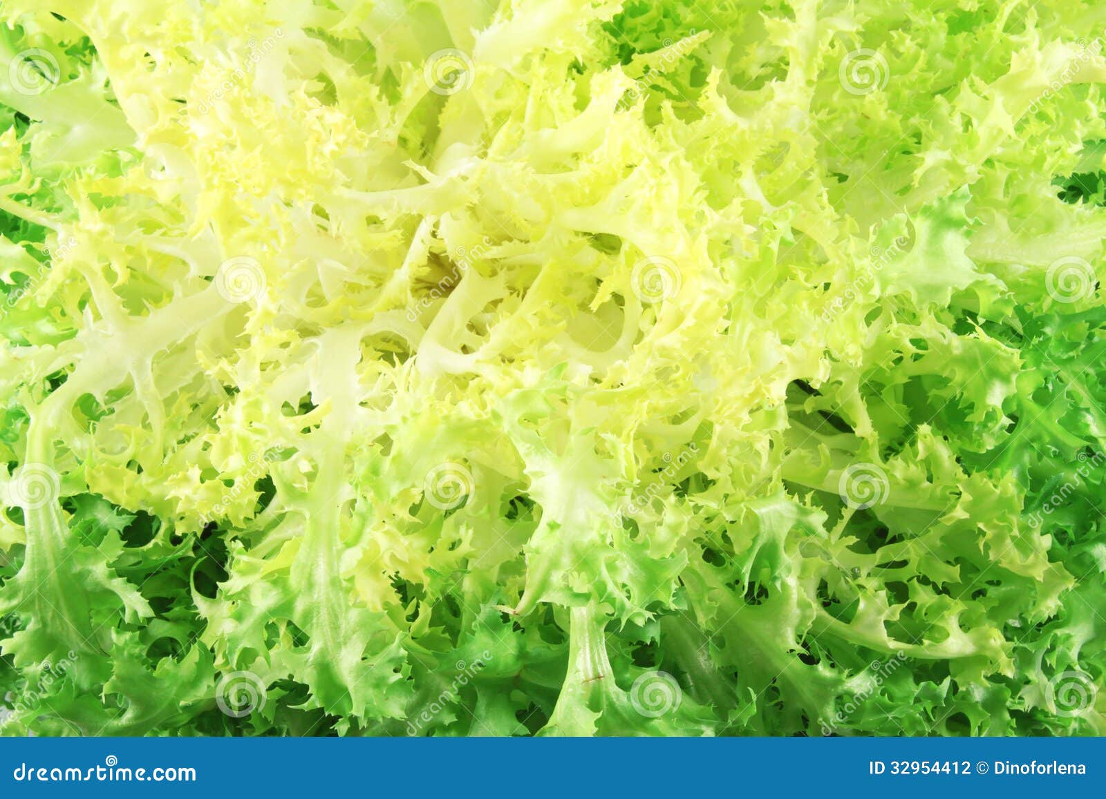 Escarole Endive With Romesco Sauce, A Typical Salad From Catalonia