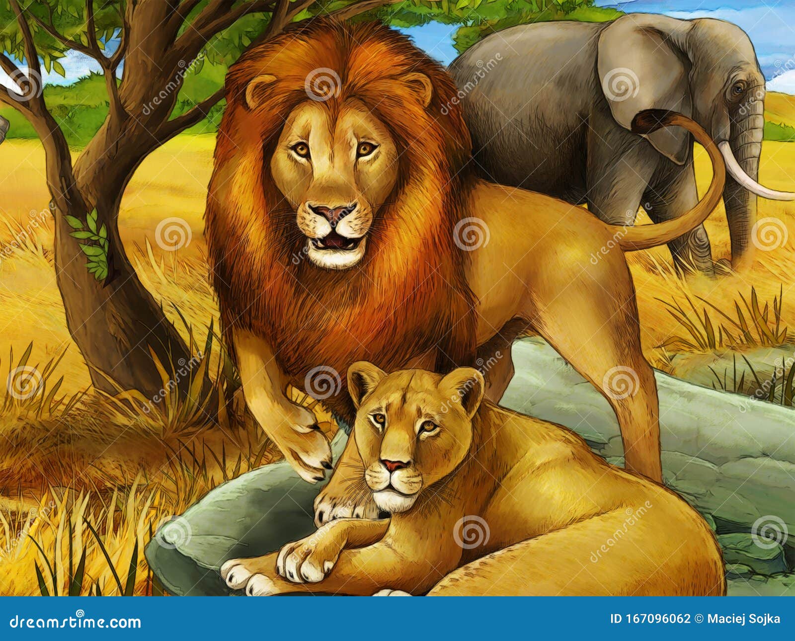 Escena De Safari Con Leones Descansando Y Elefante En La Ilustración De La  Pradera Para Niños Stock de ilustración - Ilustración de cabritos, prado:  167096062