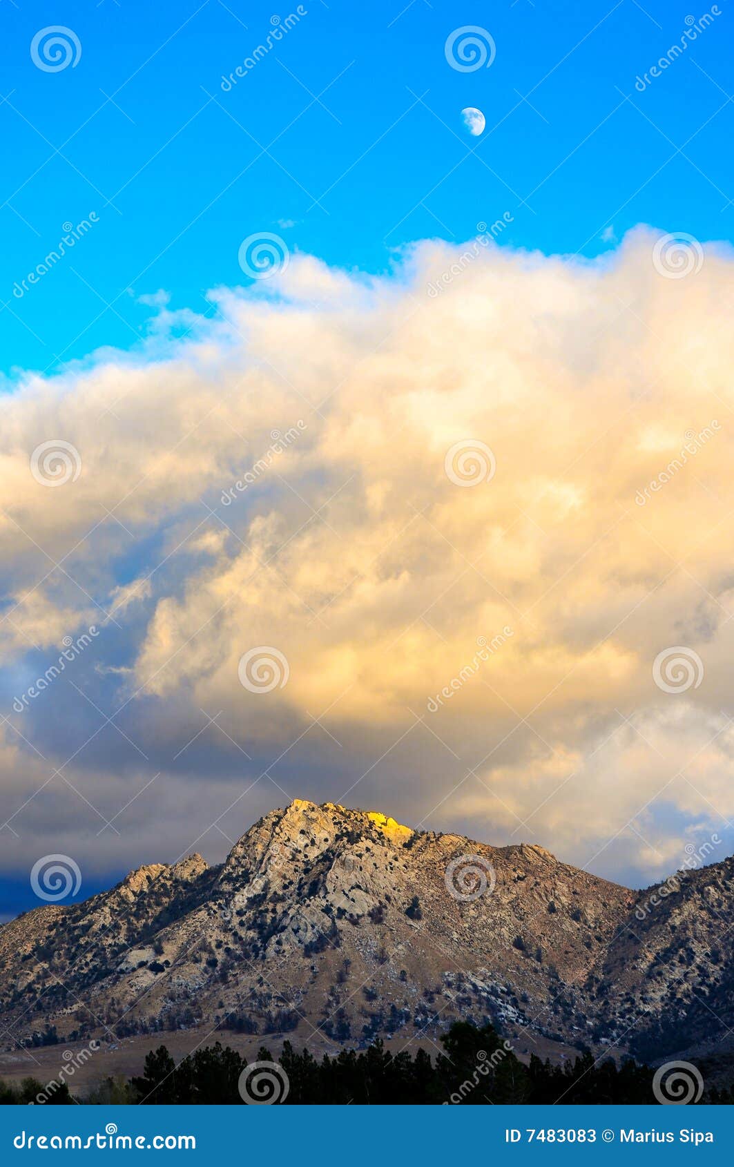 Escena del desierto en caída. Abandone la escena en colores de la caída y cielo cubierto