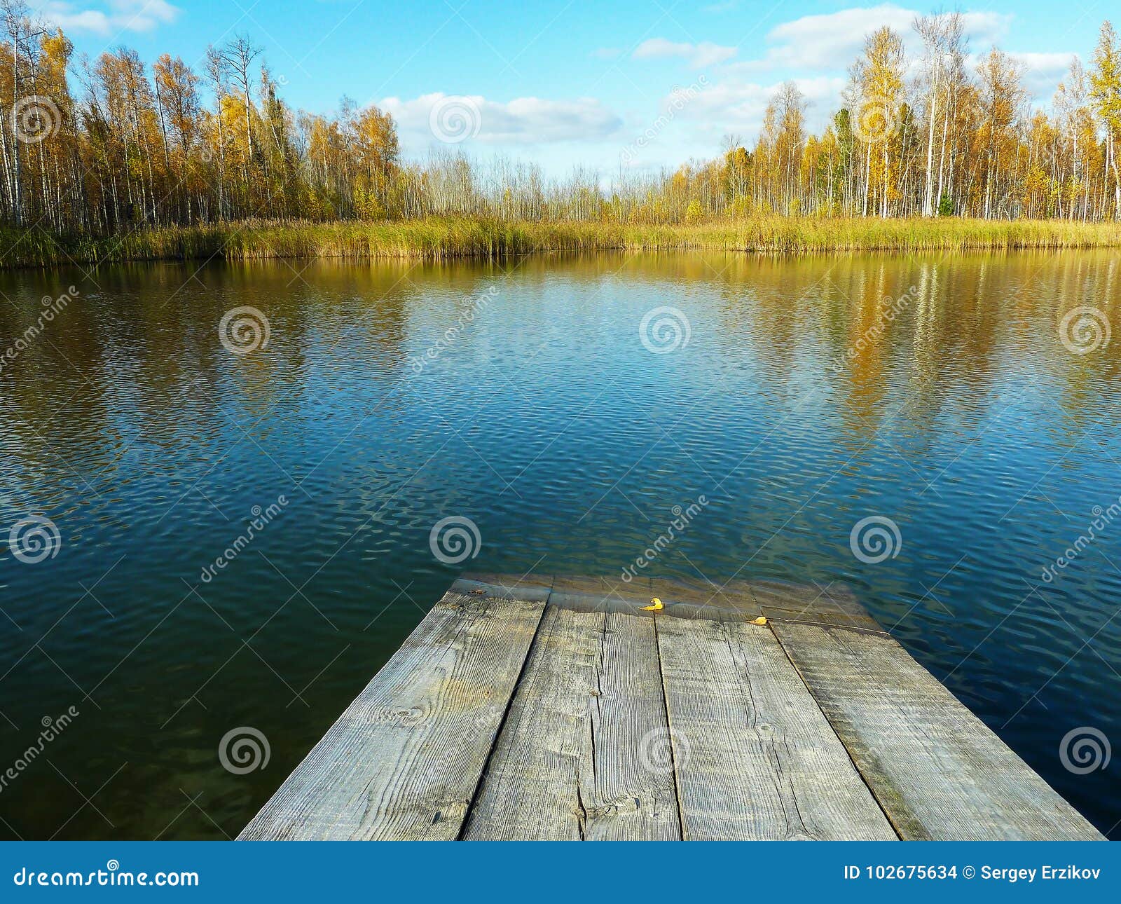 Escena Pacífica Del Otoño Cerca De Un Pequeño Lago: Un Embarcadero