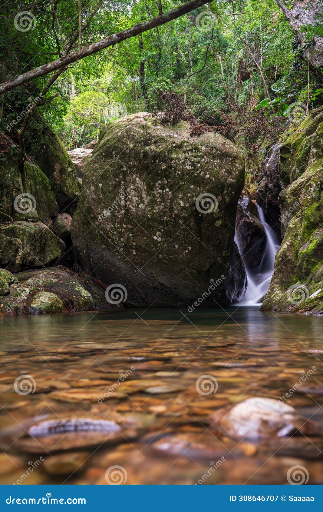 escena serena de la selva con arroyo y enorme roca redondeada.