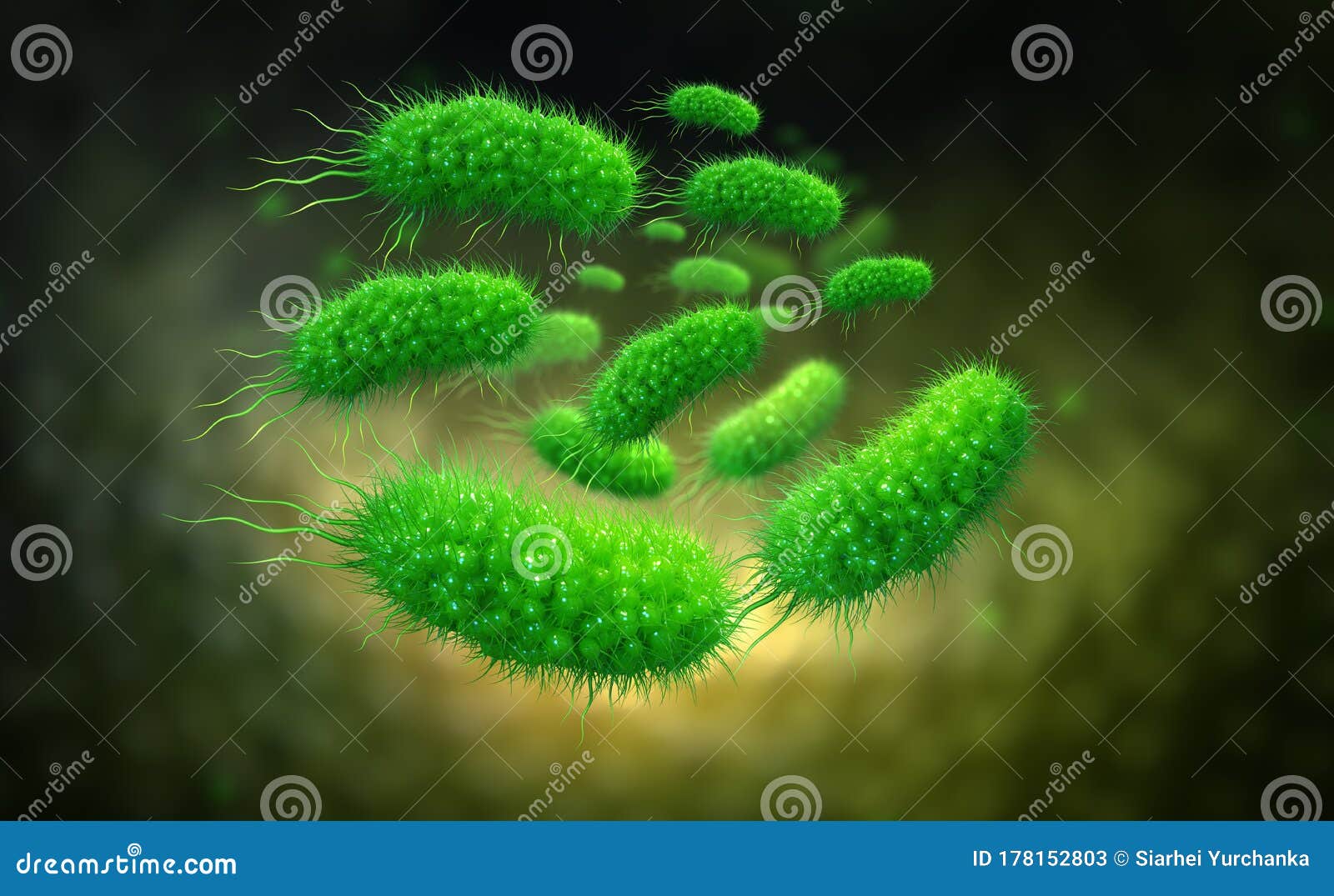Escherichia Coli Colony Of Bacteria 3d Illustration Stock Illustration Illustration Of Background Ecoli Escherichia Coli Colony Of Bacteria 3d Illustration Stock Illustration Illustration Of Background Ecoli