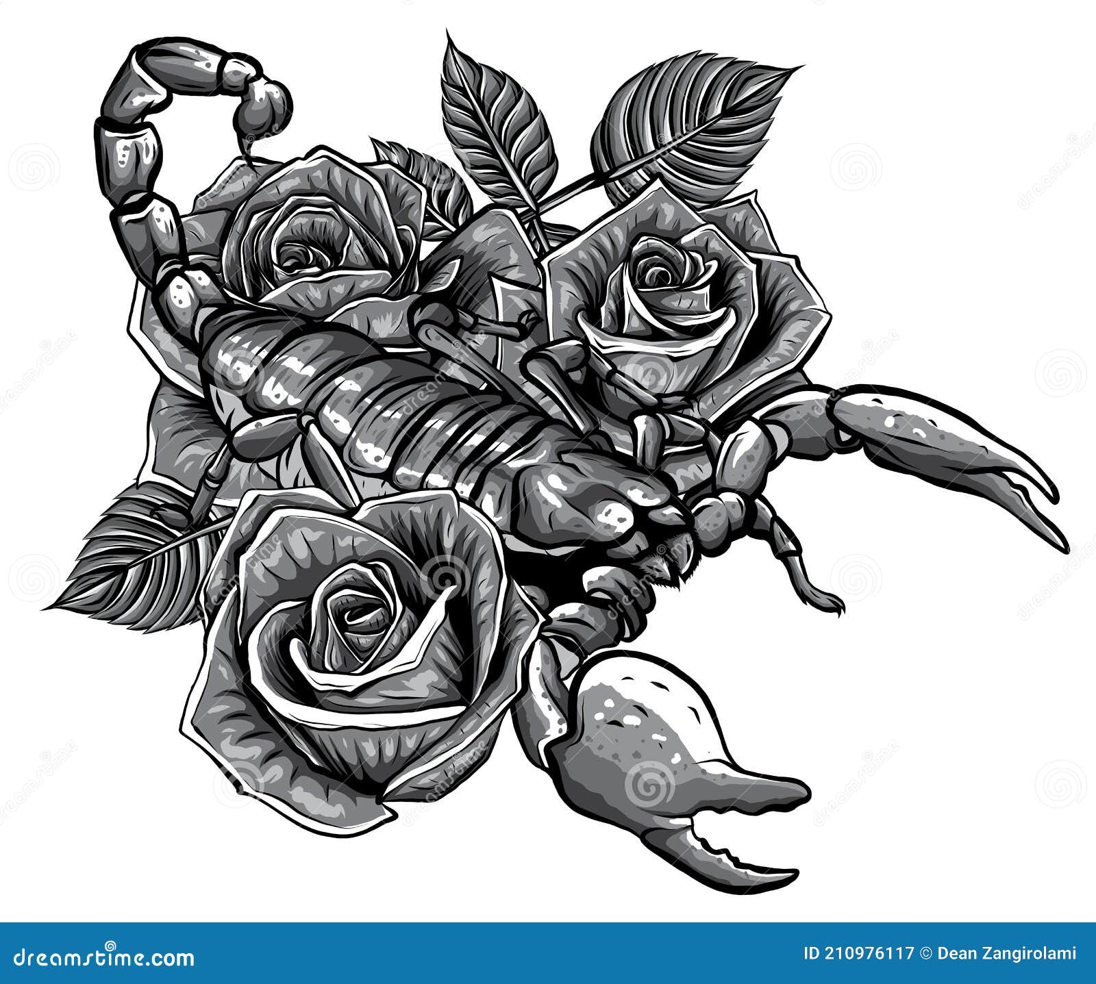 Escorpio Realista Detallado Monocromático En Un Marco Decorativo De Rosas.  Ilustración del Vector - Ilustración de marco, contorno: 210976117