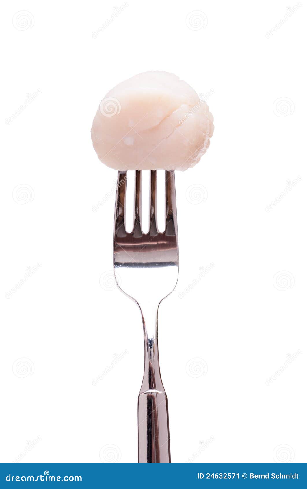 Escudo De Scallop Em Uma Forquilha Imagem de Stock Imagem de marisco