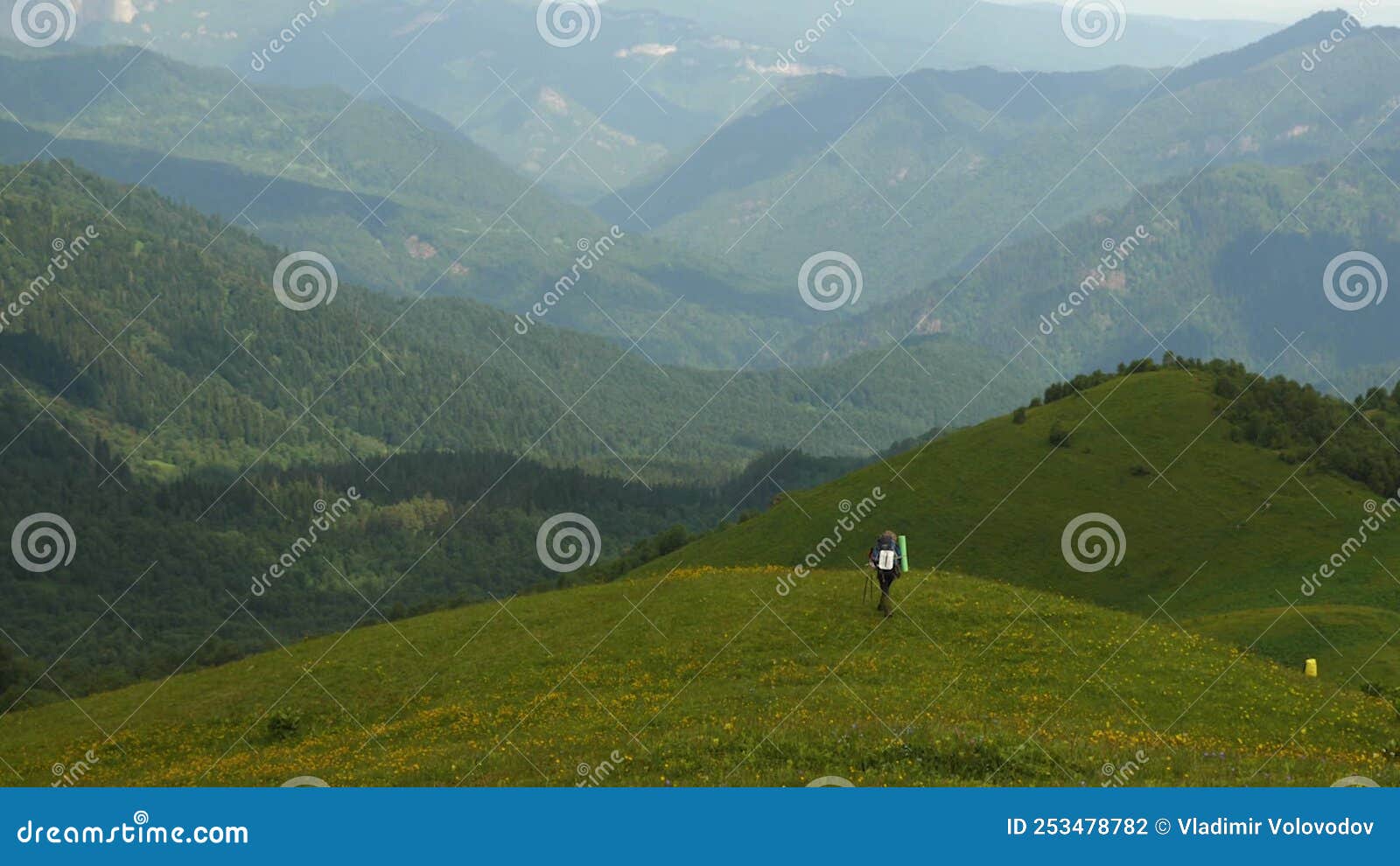 Escursionista Che Cammina Sull'erba in Montagna. Vista Posteriore