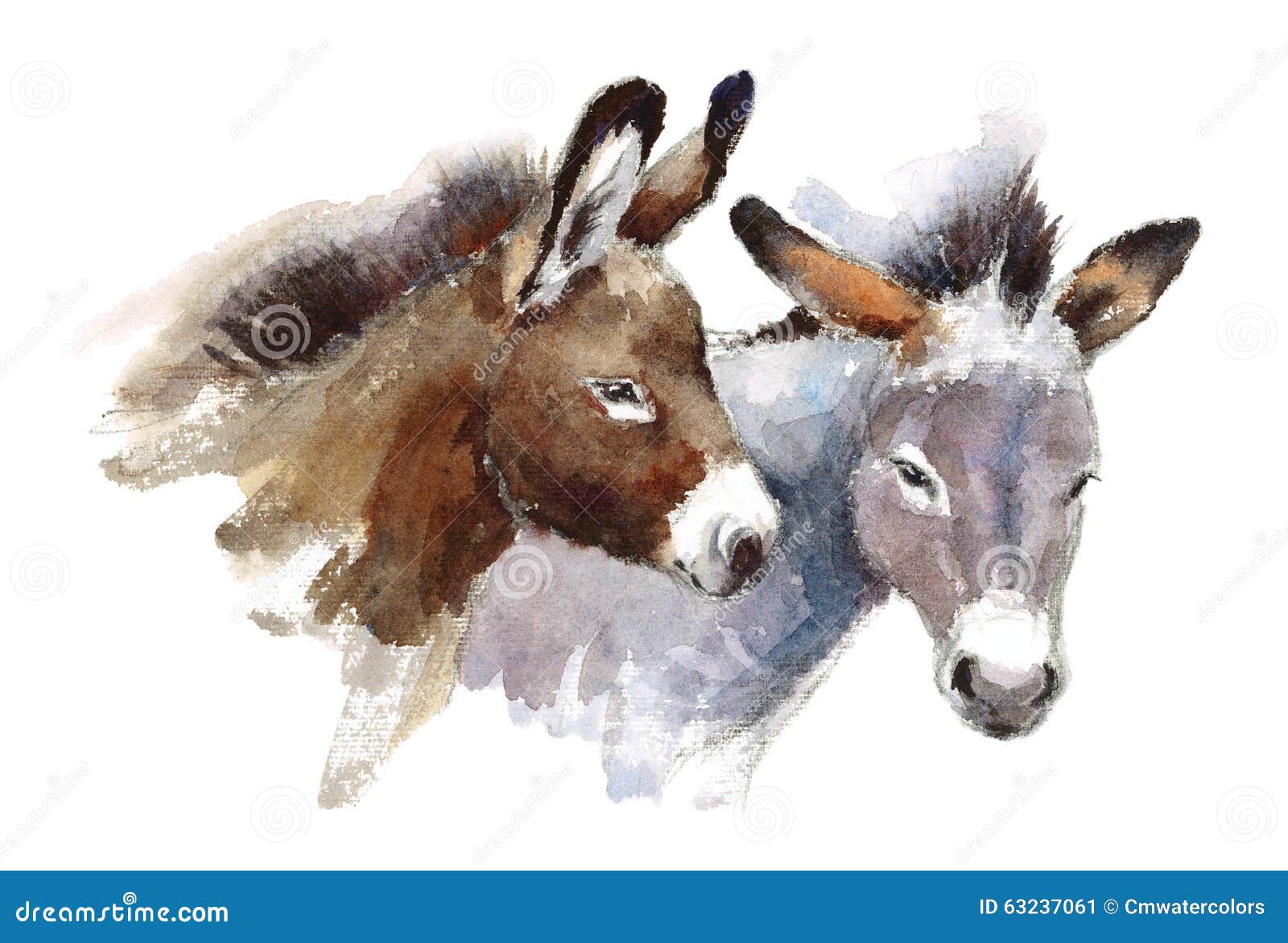 Esel-Aquarell-Tier-Illustration Handgemalt Stock Abbildung ...