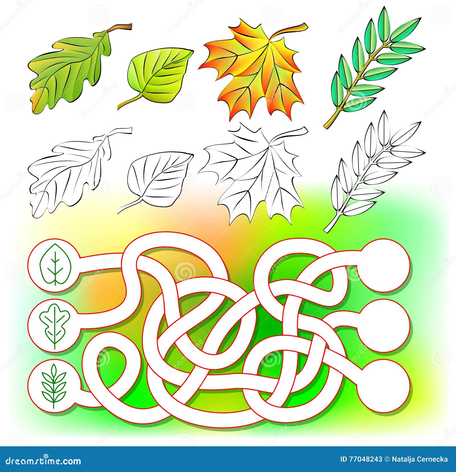 Esercizi per i bambini piccoli necessit  di colorare le foglie e disegnare i nuovi nei cerchi pertinenti Libera da Diritti