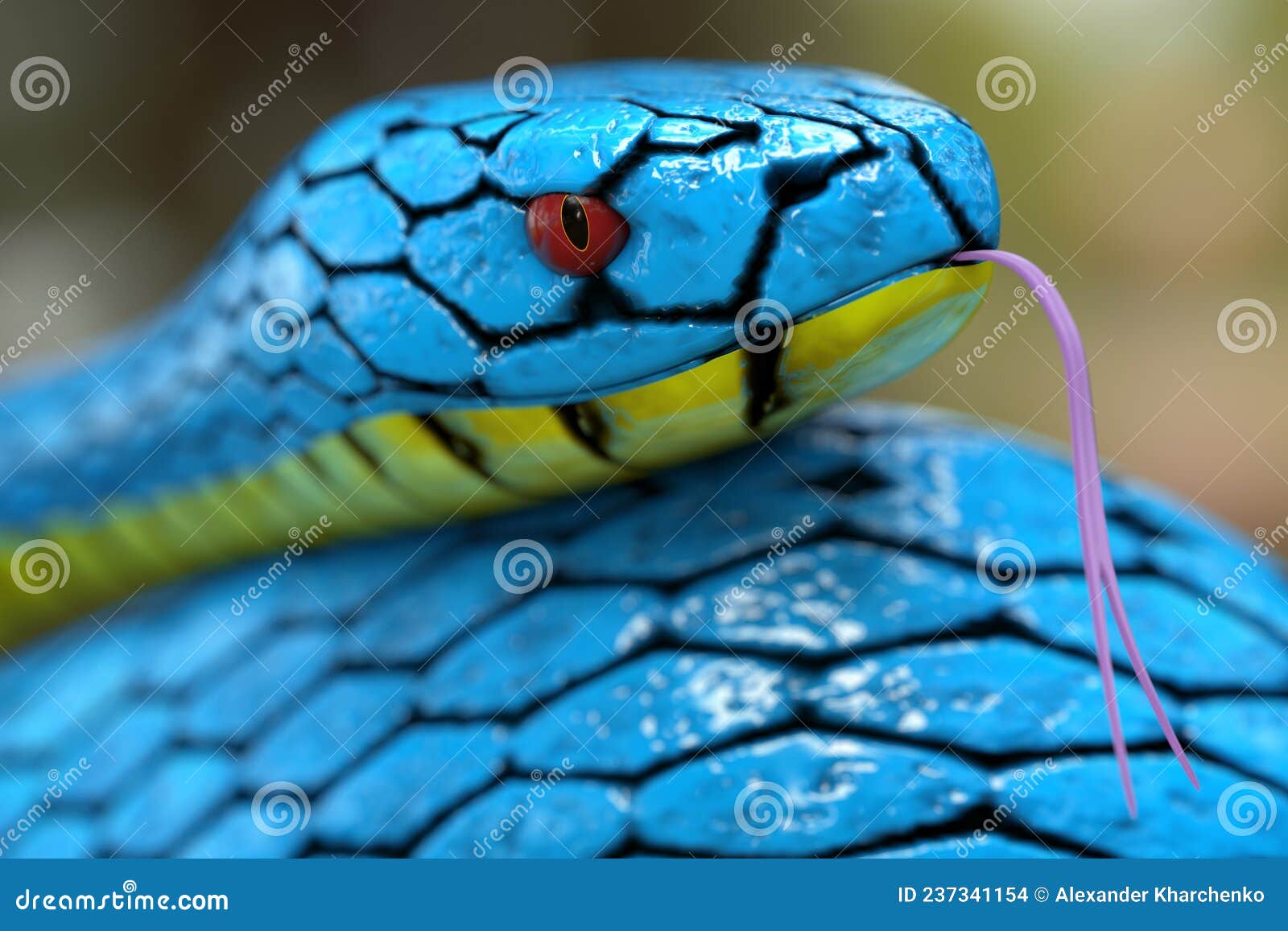 Foto de Cobra Azul Insularis e mais fotos de stock de Cobra