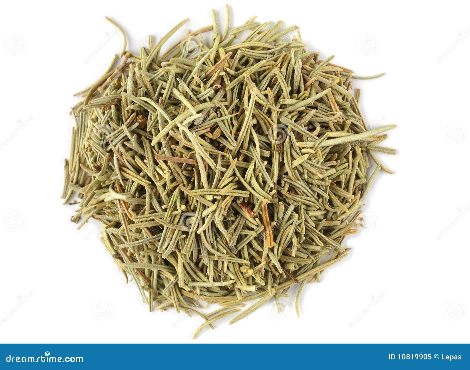 Especia de Rosemary imagen de archivo. Imagen de aislado 10819905