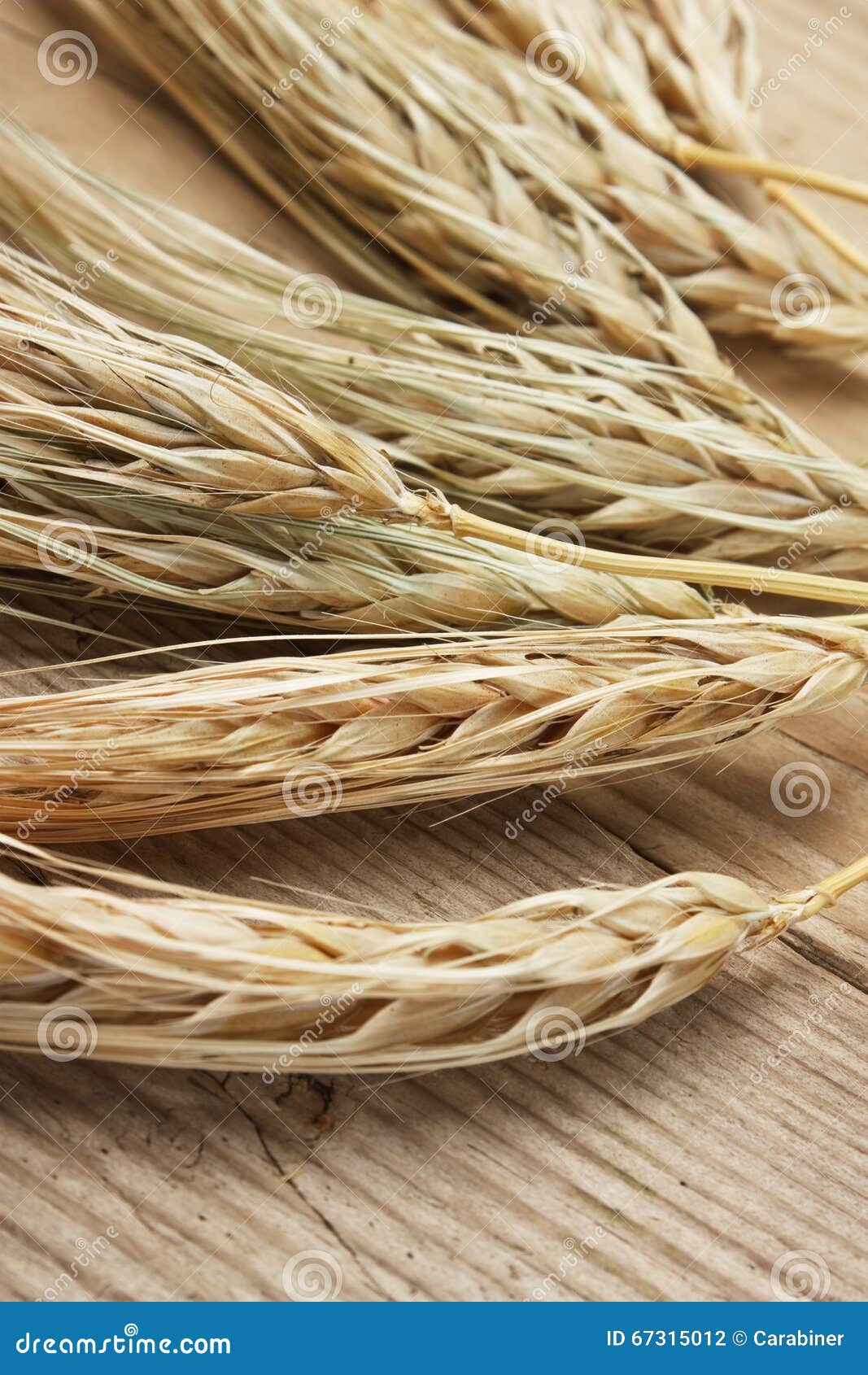 Espigas De Trigo Secas En Una Tabla De Madera Foto de archivo