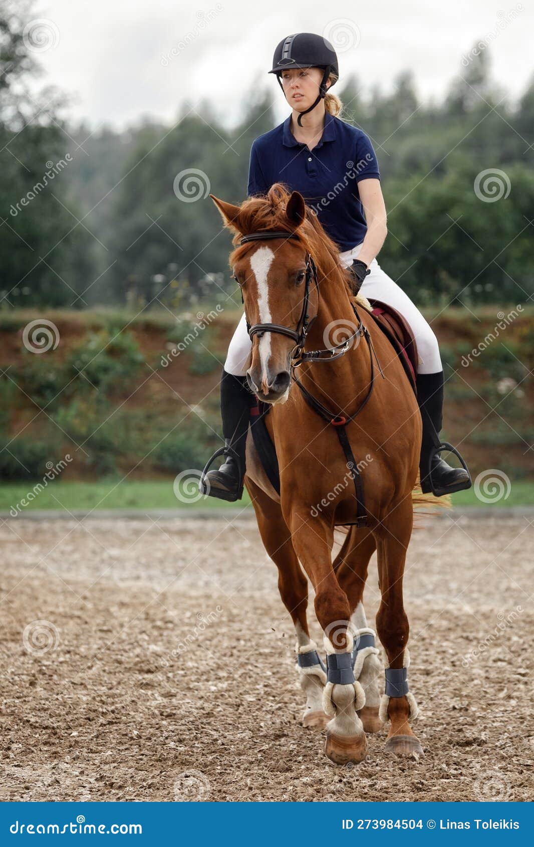 Jovem cavaleiro montando um cavalo pulando uma cerca em uma corrida  equestre