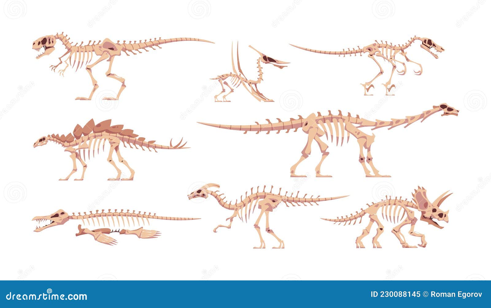 Dinossauros Tiranossauro: Como desenhar Triceratops, esqueleto crânio s,  tiranossauro, monocromático, desenhos animados png