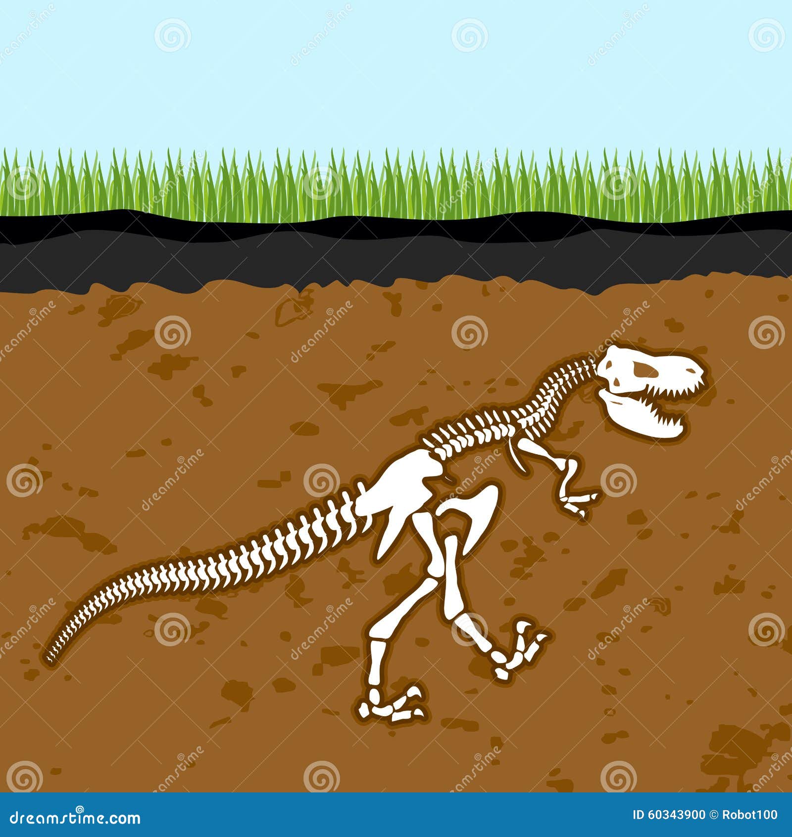 Esqueleto Do Tiranossauro Rex Ossos De Dinossauro Na Terra Fossil  Ilustração do Vetor - Ilustração de esqueleto, fundo: 60343900