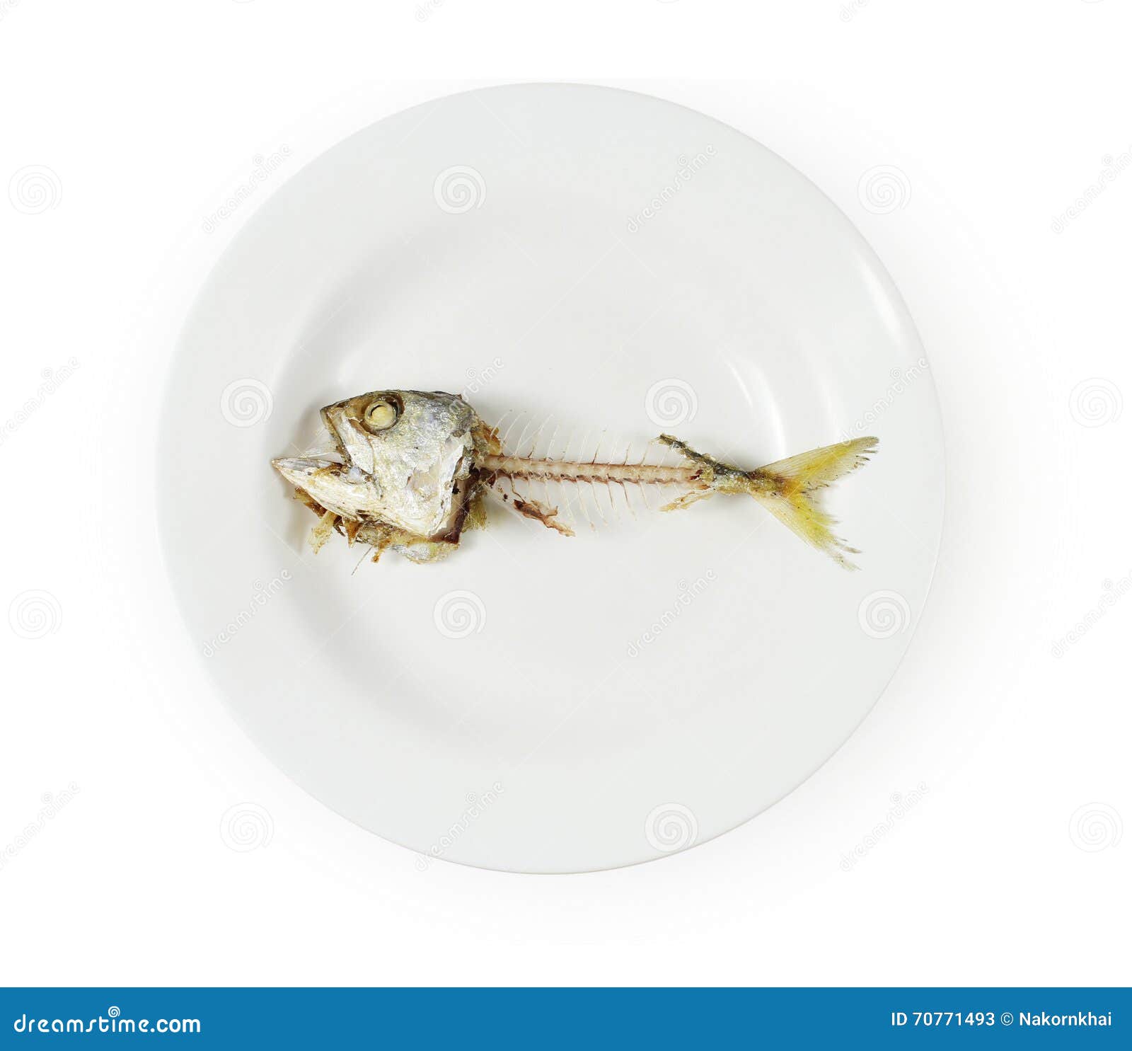 Esqueleto Sufocado Mortos Dos Peixes Imagem de Stock - Imagem de