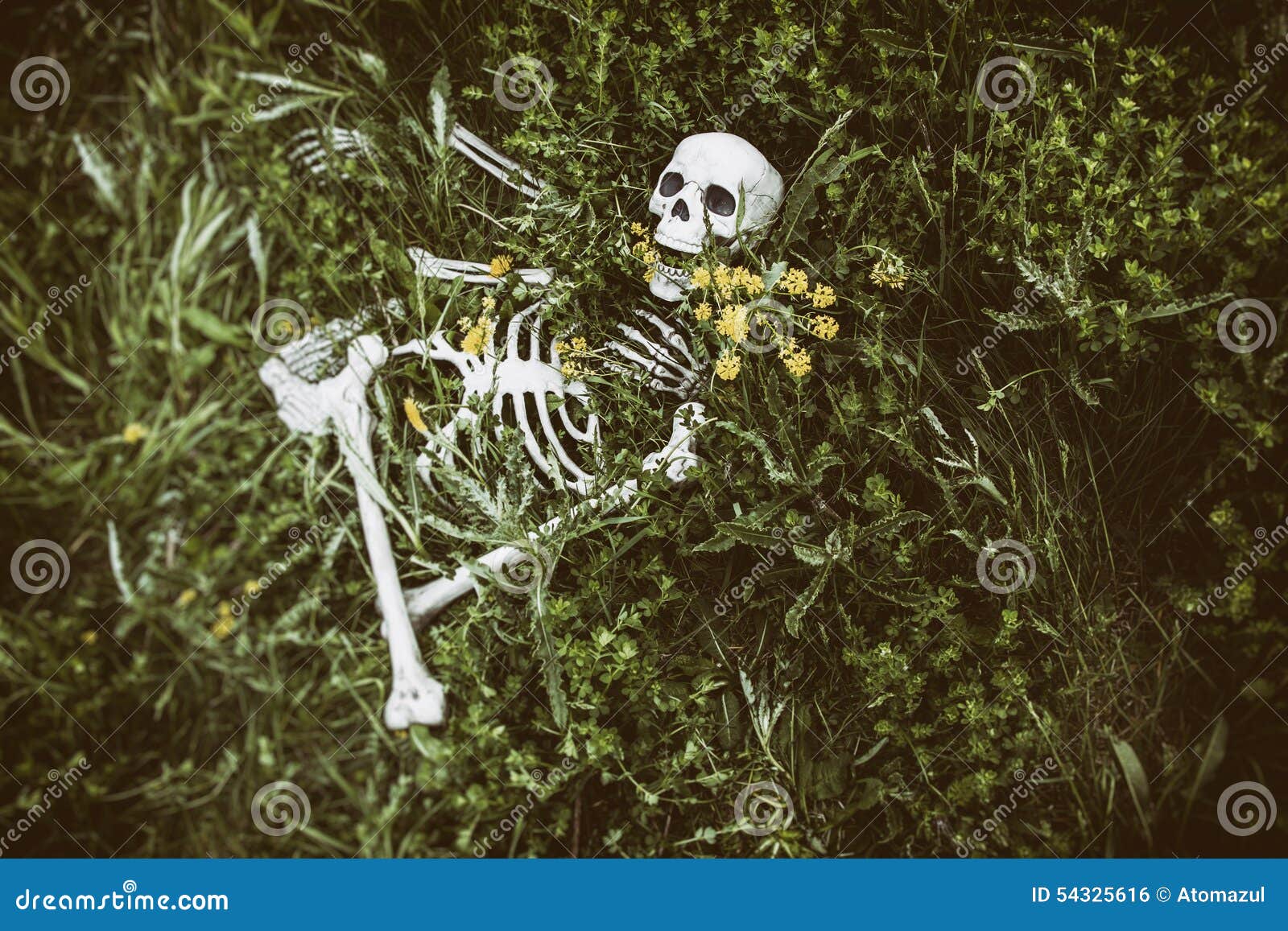 Авантюрист перевоплощается в скелета. Нашли скелет человека в лесу. Добрые скелетики в лесу.