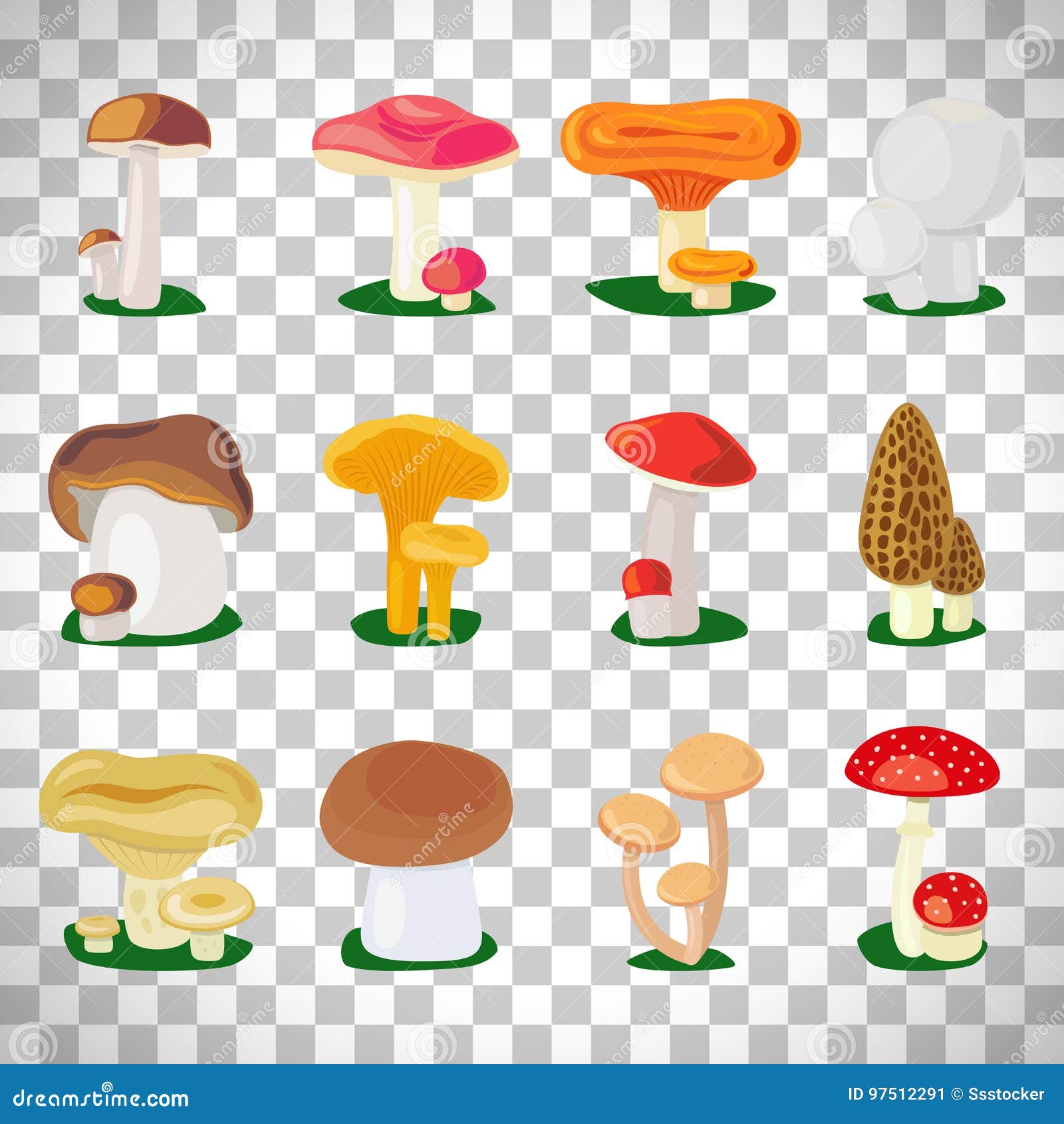 Essbare Pilze Auf Transparentem Hintergrund Vektor Abbildung Illustration Von Abendessen Graphik