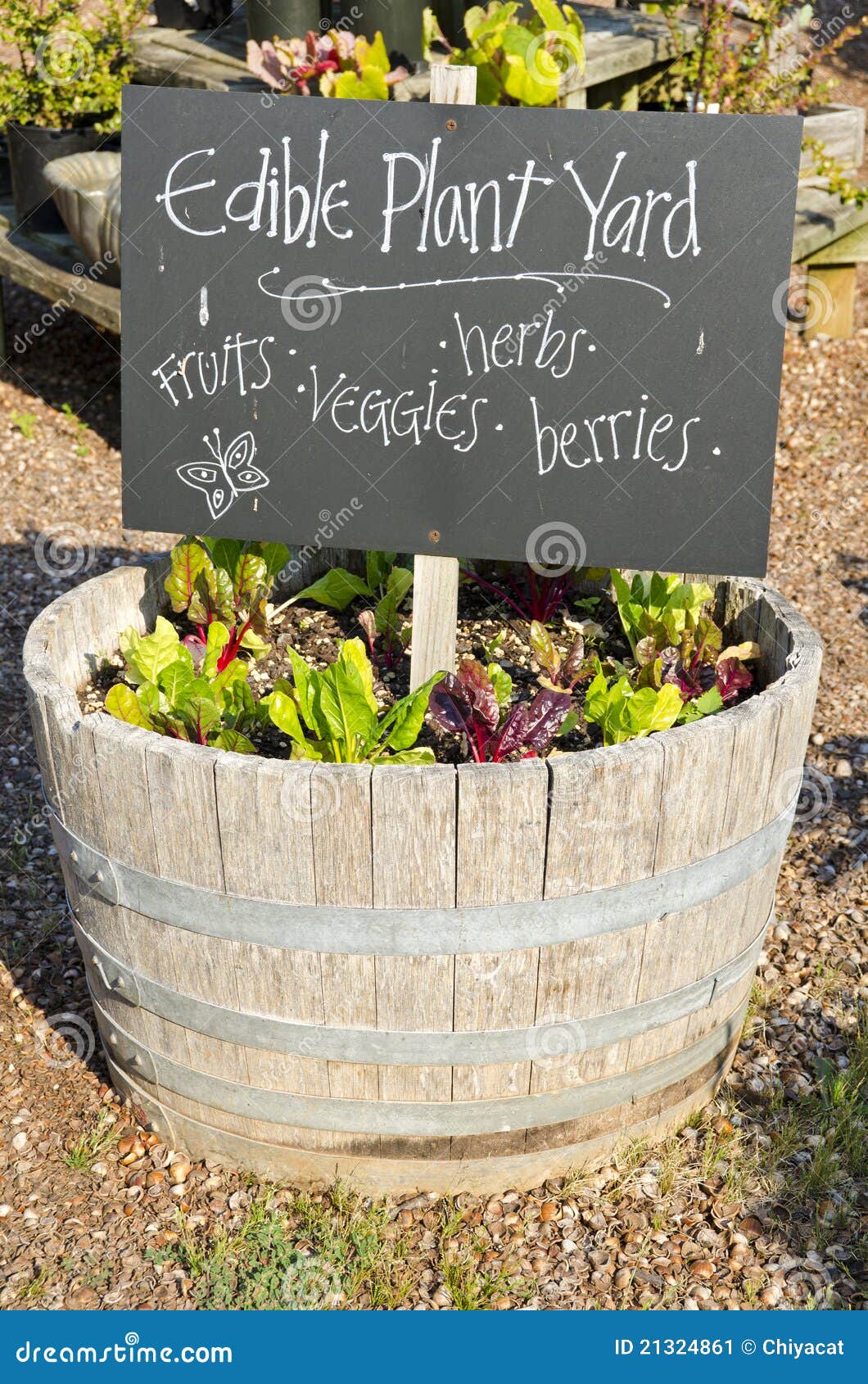 Essbarer Garten in Einem WeinFaß Stockbild Bild von nahrung