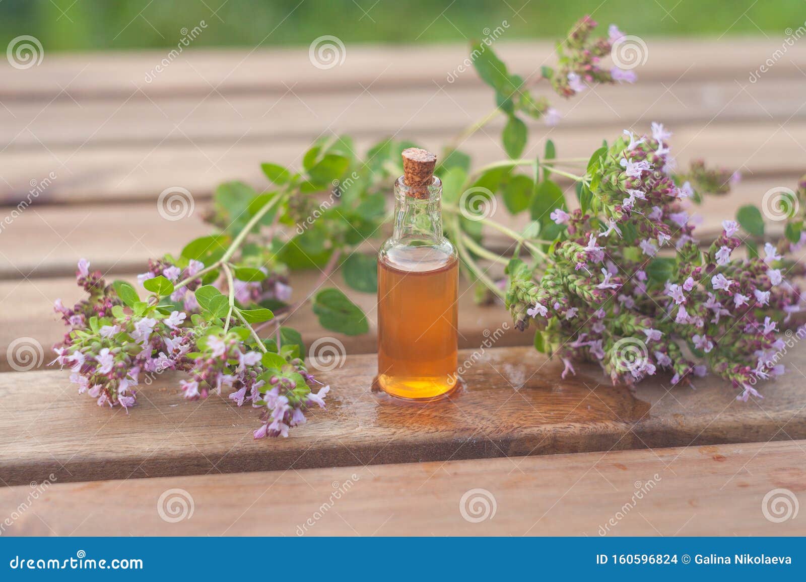 Essence of Lavender Flowers on Table in Beautiful Glass Bottle Stock