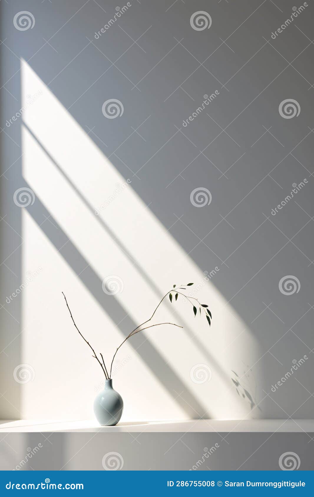 The Essence of Minimalism Illuminated by Natural Light Highlighting the 