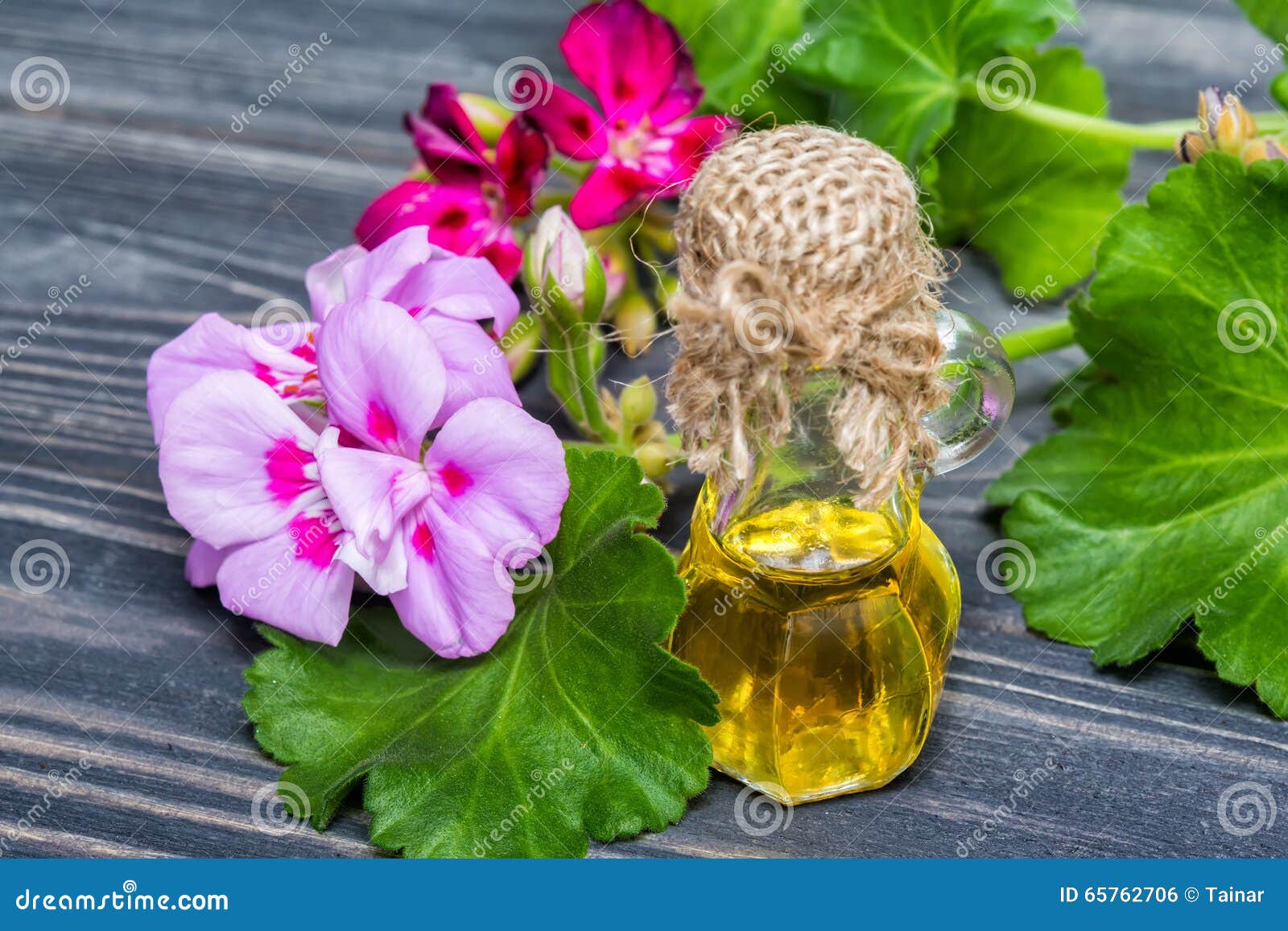 essential geranium oil