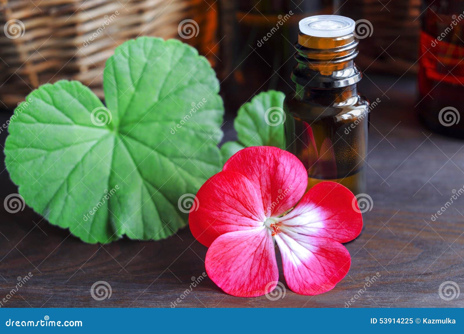 Essential geranium oil stock image. Image of geraniol 53914225