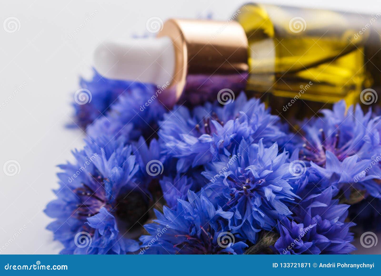 Essential Oil of Cornflower on a White Background Stock Image Image