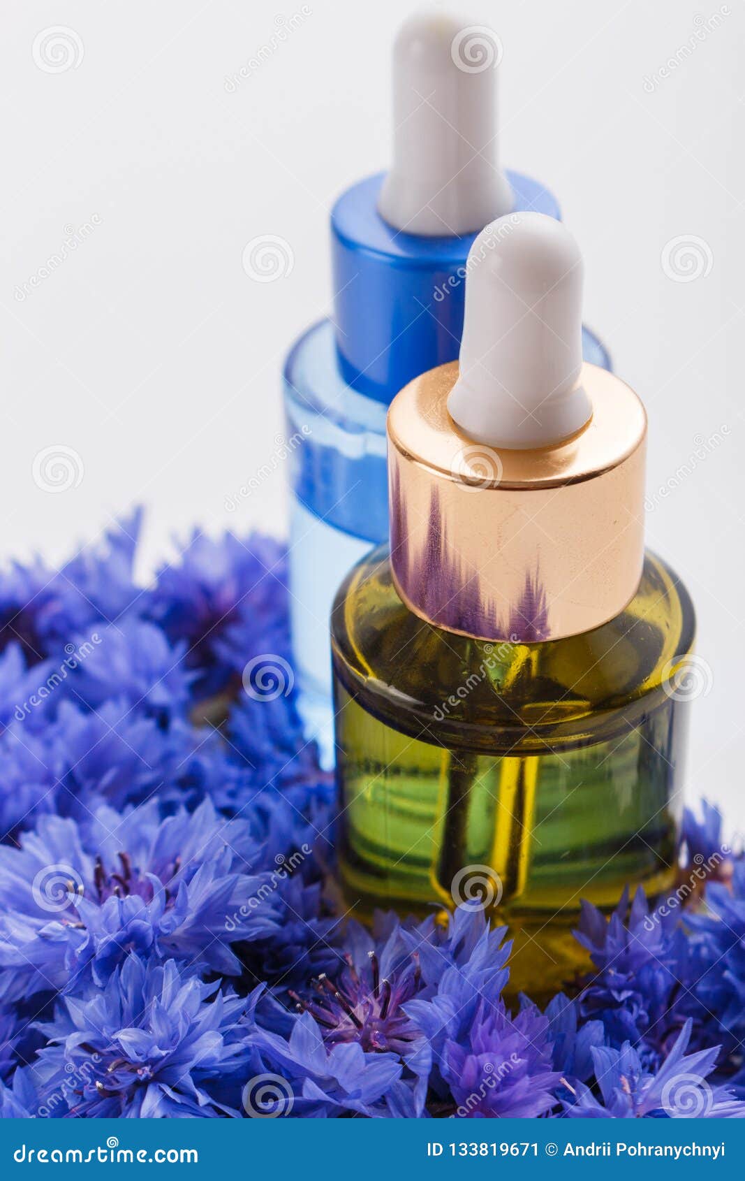 Essential Oil of Cornflower on a White Background Stock Image Image