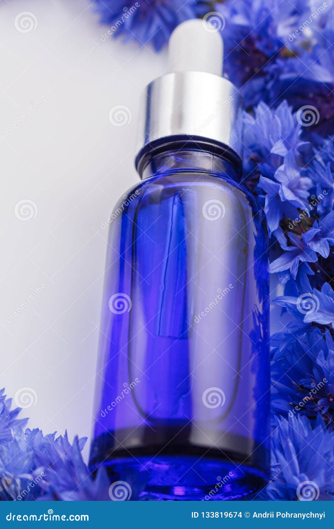 Essential Oil of Cornflower on a White Background Stock Photo Image