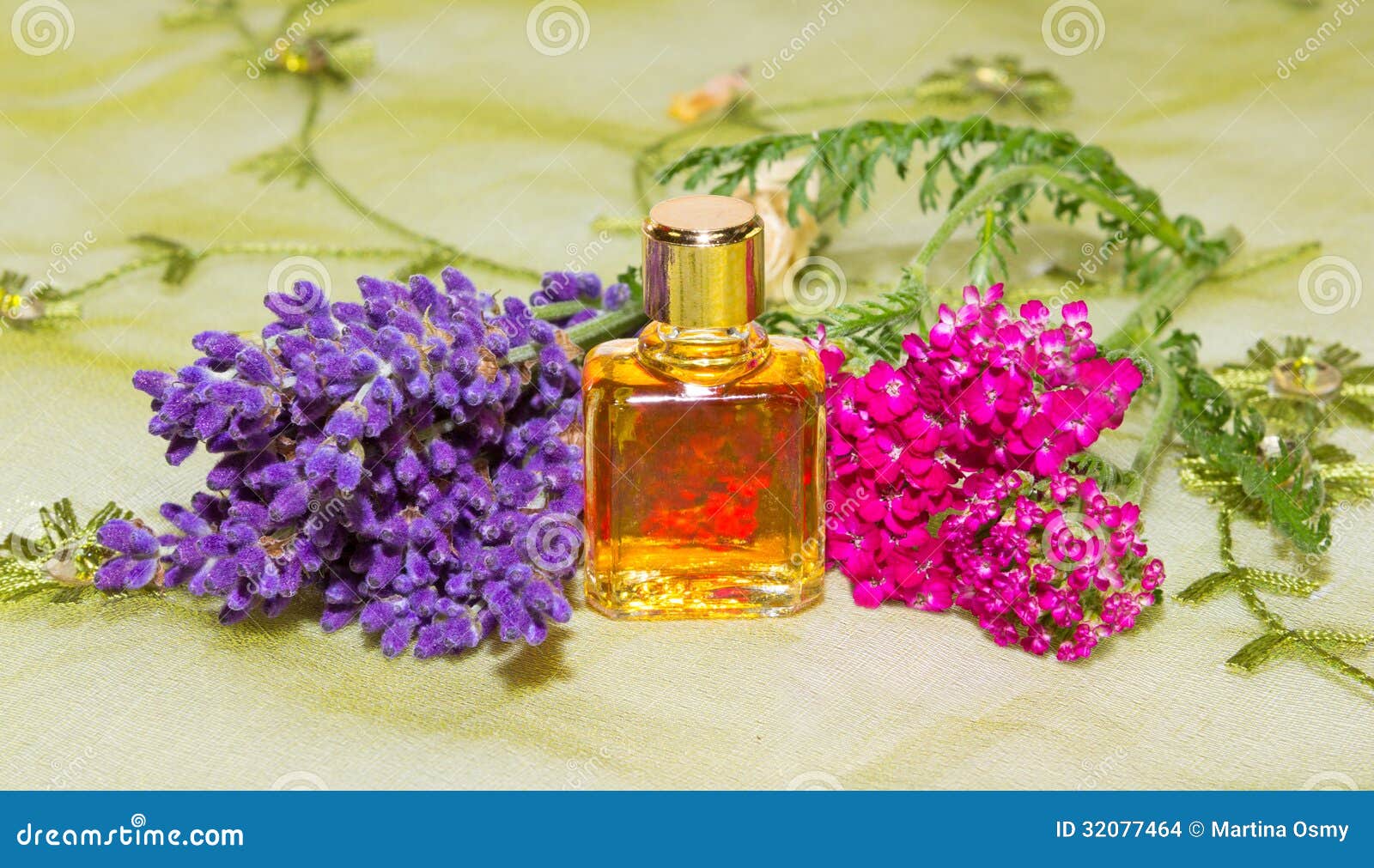 Essential Oil with Fresh Flowers Stock Photo Image of achillea
