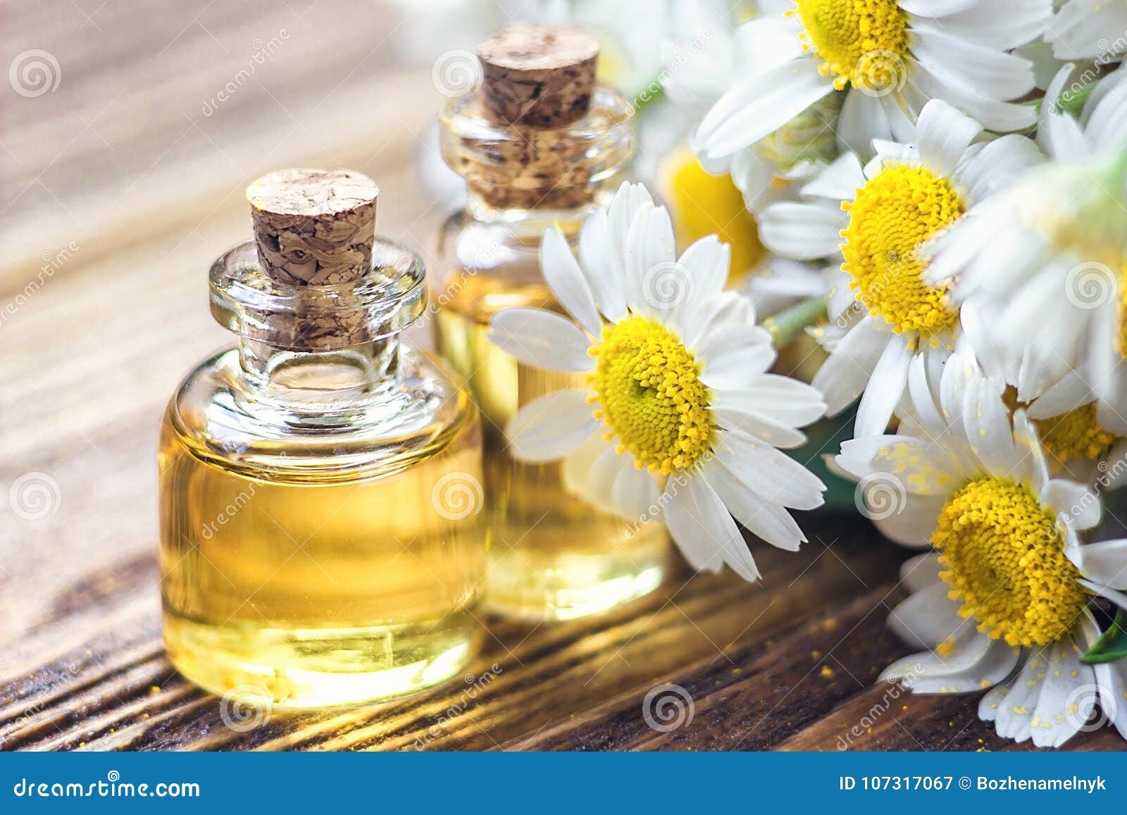 essential oil in glass bottle with fresh chamomile flowers, beauty treatment. spa concept. selective focus. fragrant oil of chamom