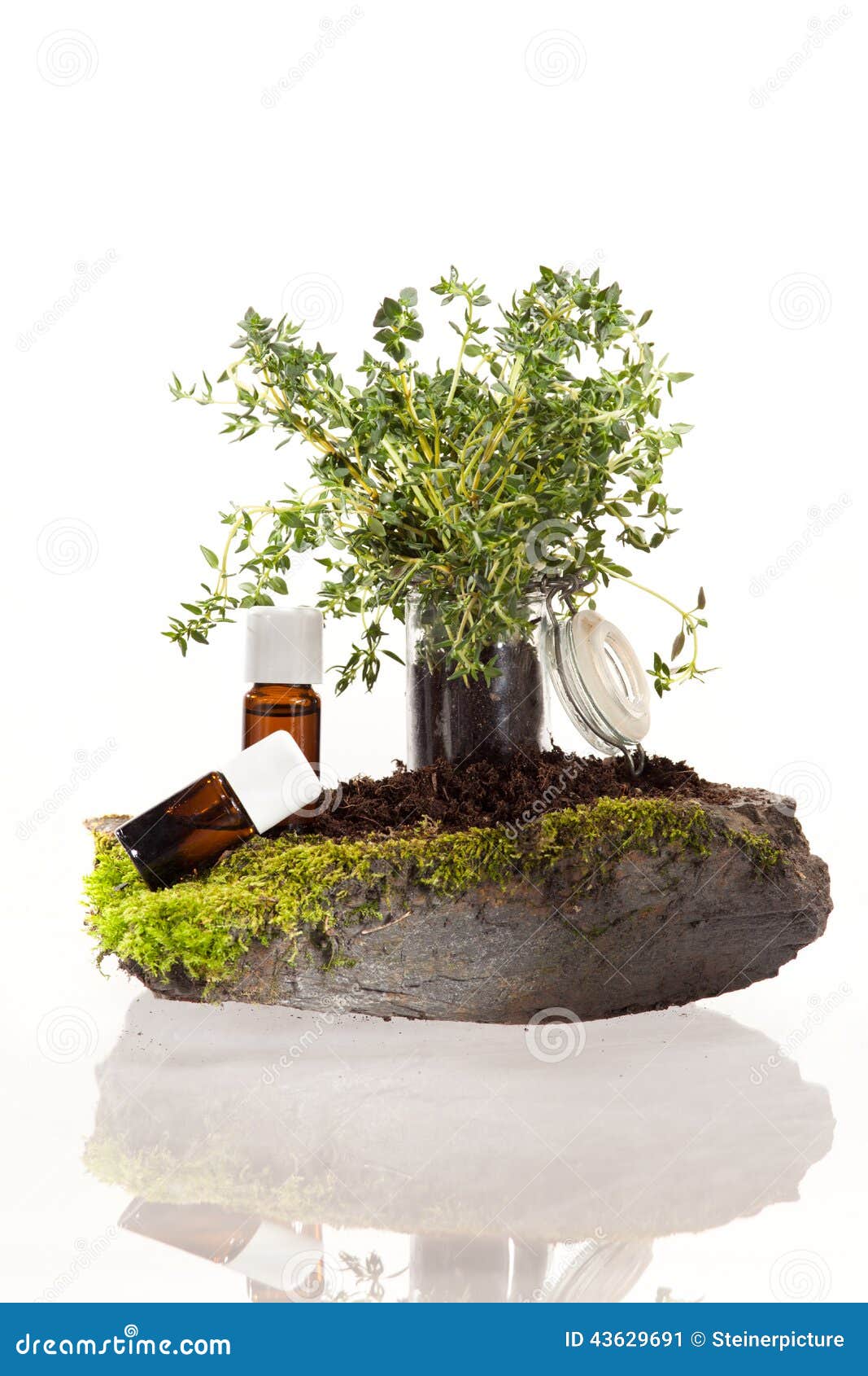 Essential oil of herbs stock image. Image of ethereal 43629691