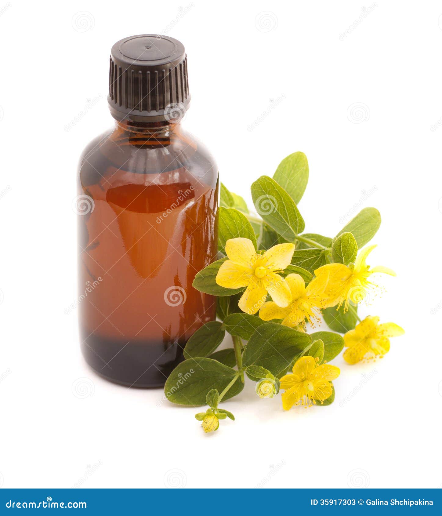 essential oil of hypericum perforatum.