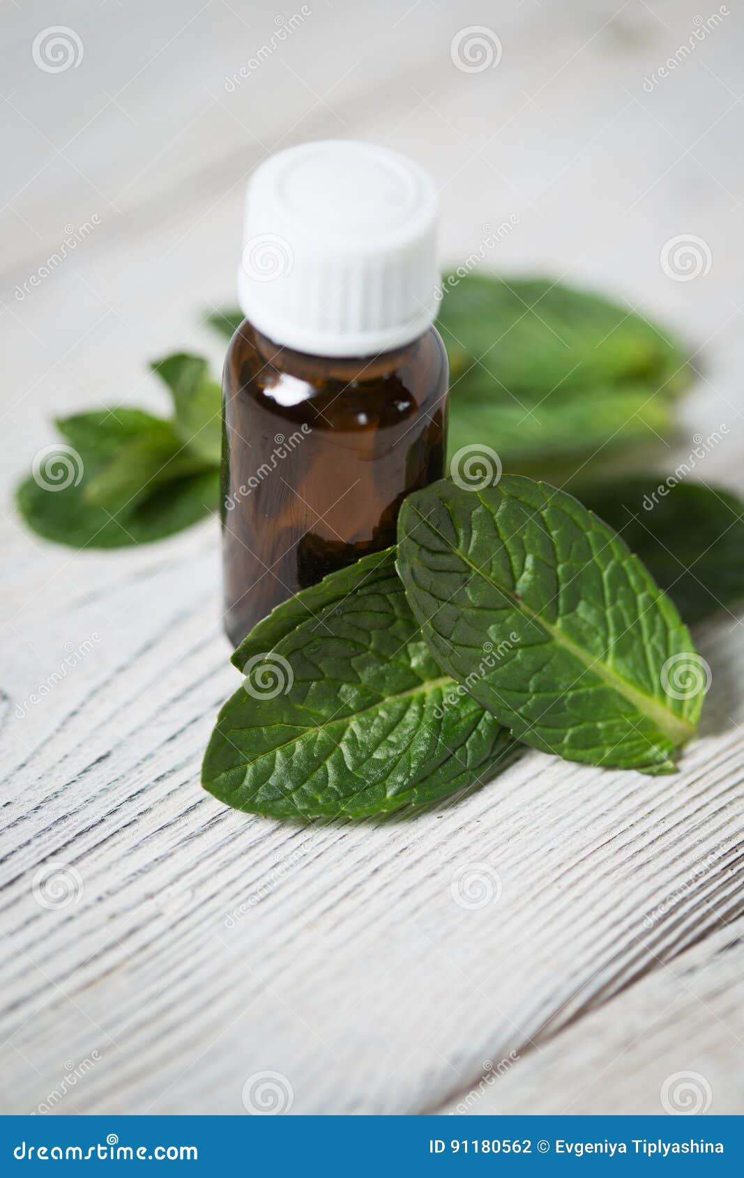 Essential Oil of Mint with Mint Leaves Stock Photo Image of leaf