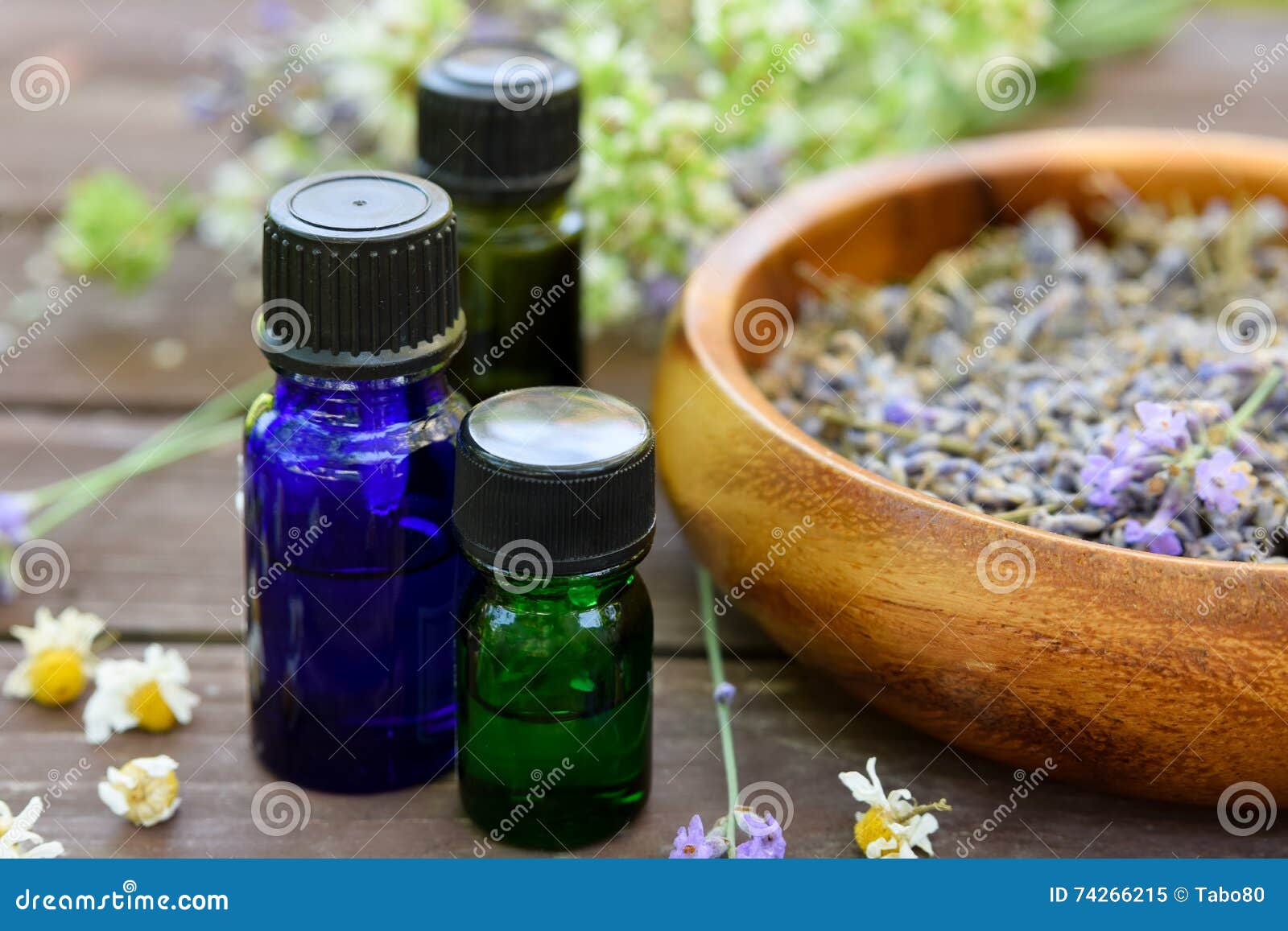 Essential Oils with Dried Herbs Stock Image Image of table