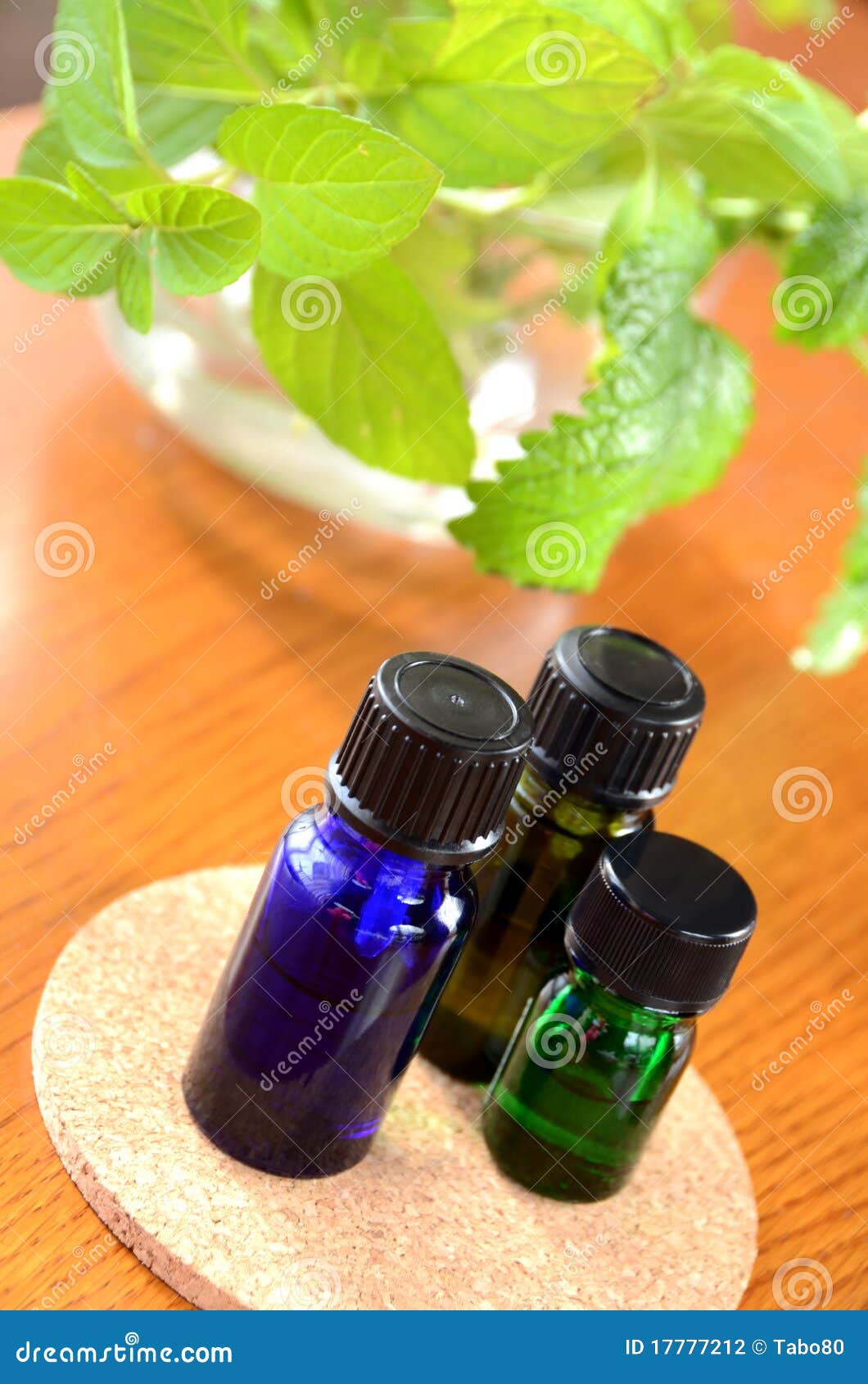 Essential oils with herbs stock photo. Image of lemonbalm 17777212