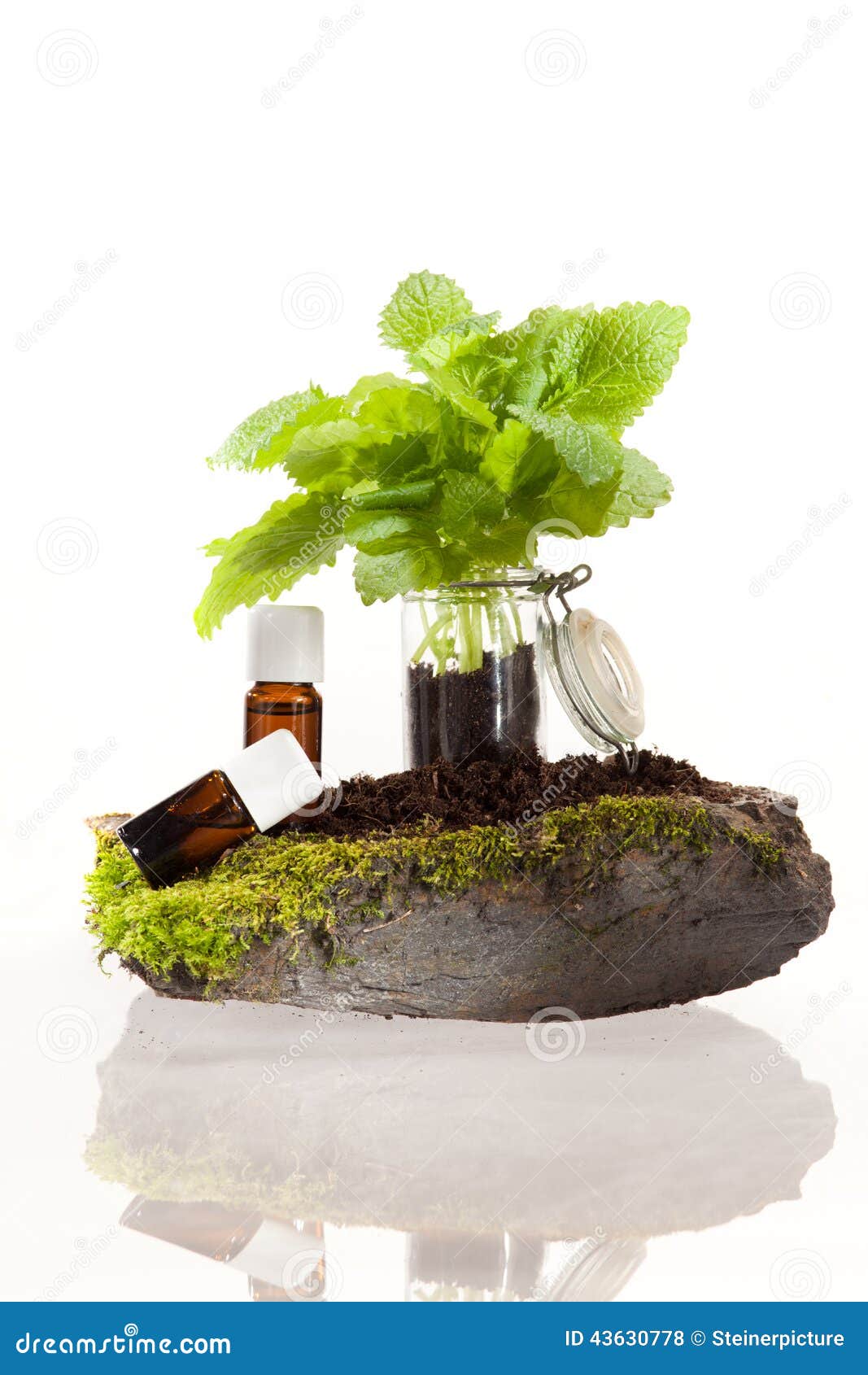 Essential oils from herbs stock photo. Image of concentrate 43630778