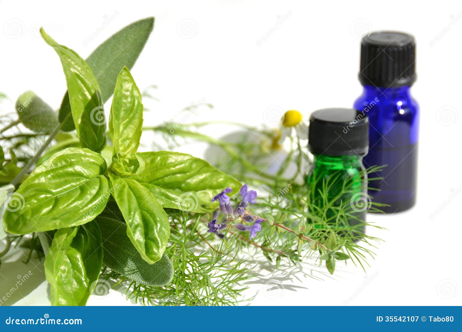 Essential oils with herbs stock image. Image of beauty 35542107