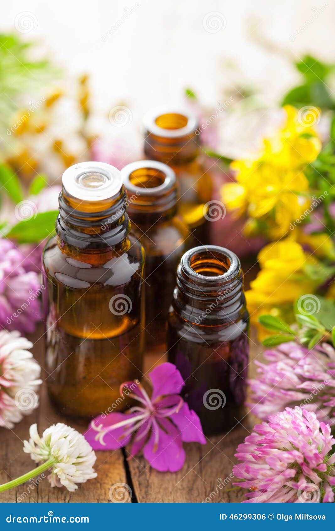 Essential Oils and Medical Flowers Herbs Stock Photo Image of
