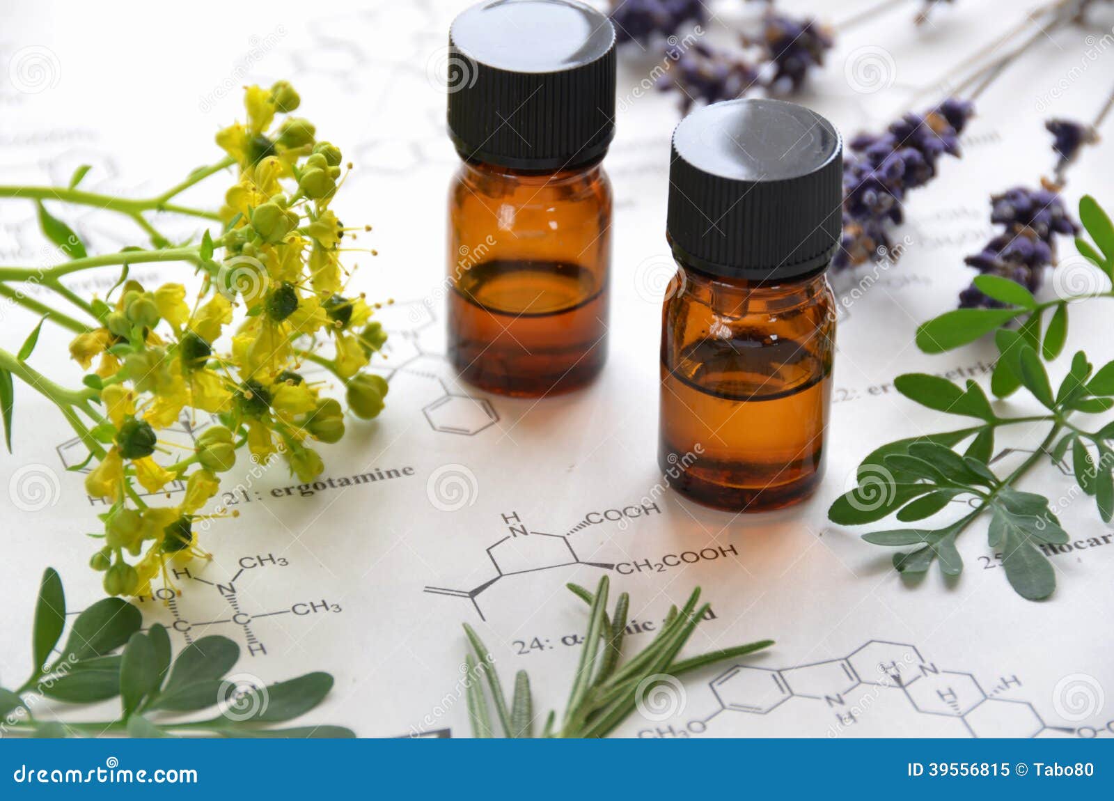 essential oils and science