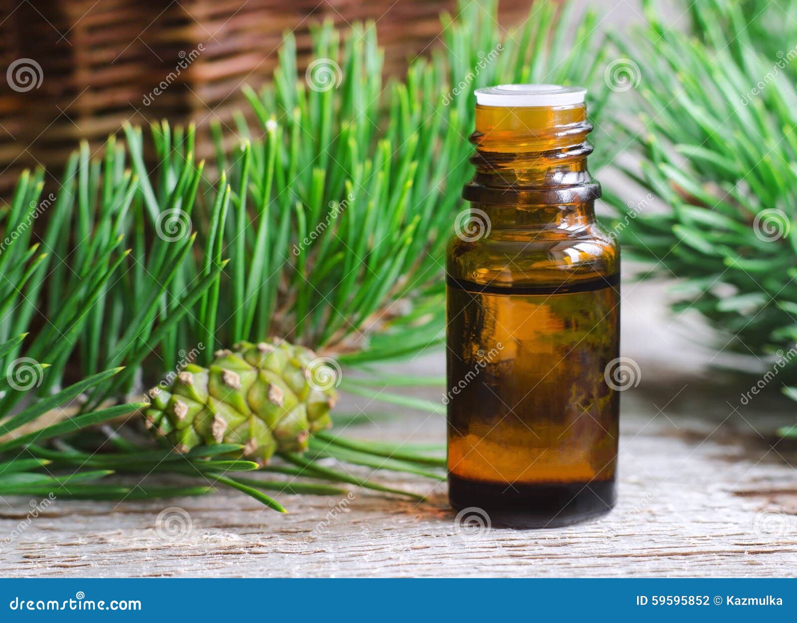 Essential pine oil stock photo. Image of medicine, christmas 59595852