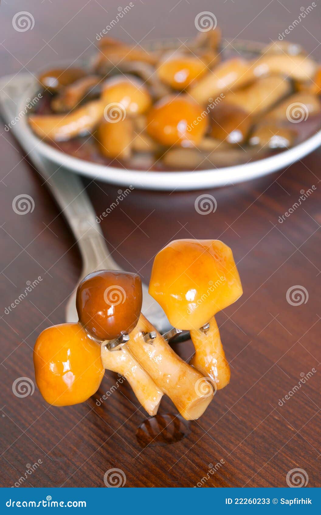 In Essig eingelegte Pilze stockbild. Bild von pilz, makro - 22260233