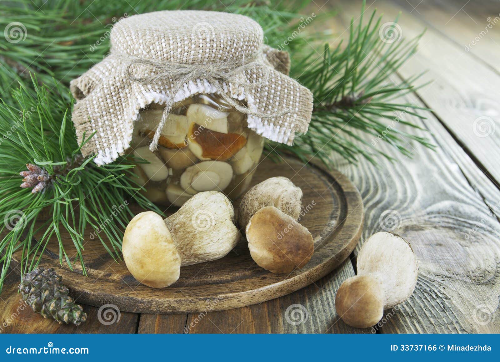 In Essig eingelegte Pilze stockfoto. Bild von glas, kegel - 33737166