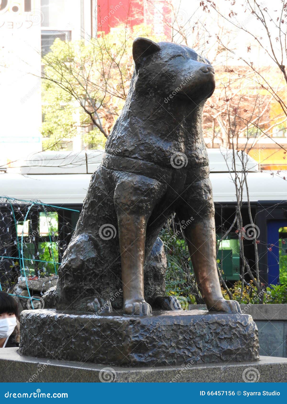 Estátua De Bronze Do Cão Famoso Hachiko, Quadrado De Hachiko