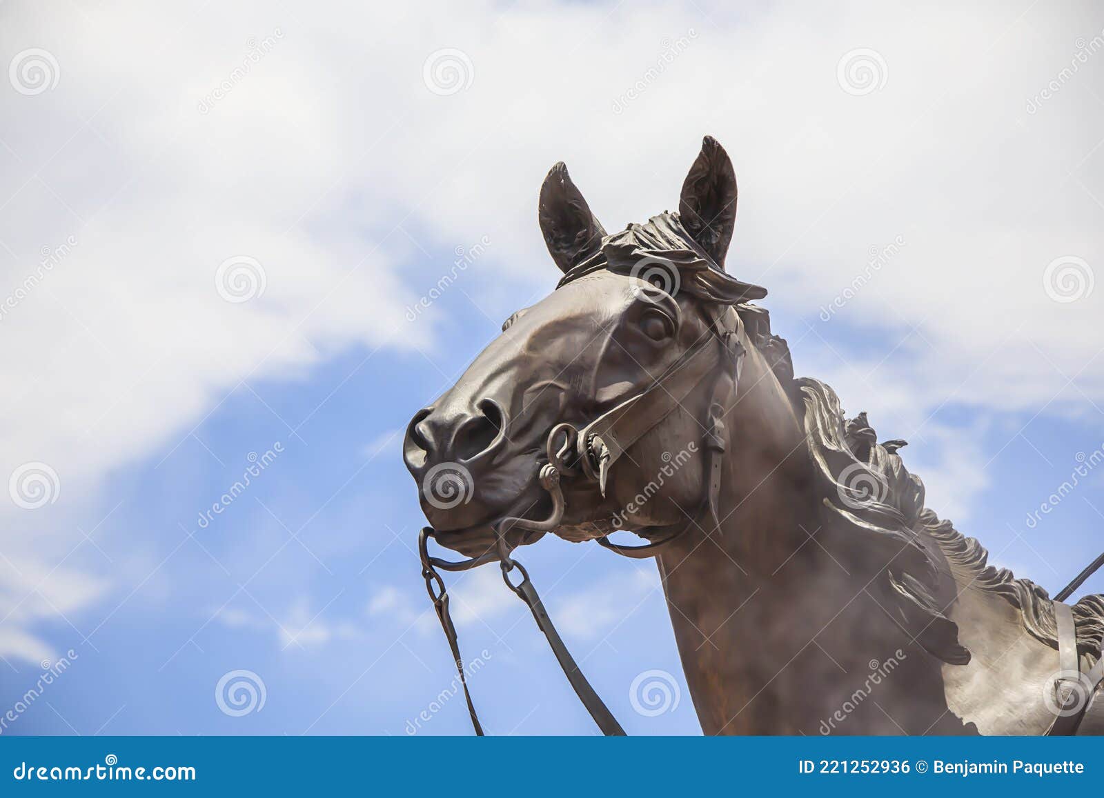 Estátua De Cavalo Em Frente a Um Céu Nublado Foto de Stock - Imagem de  animal, olho: 221252936