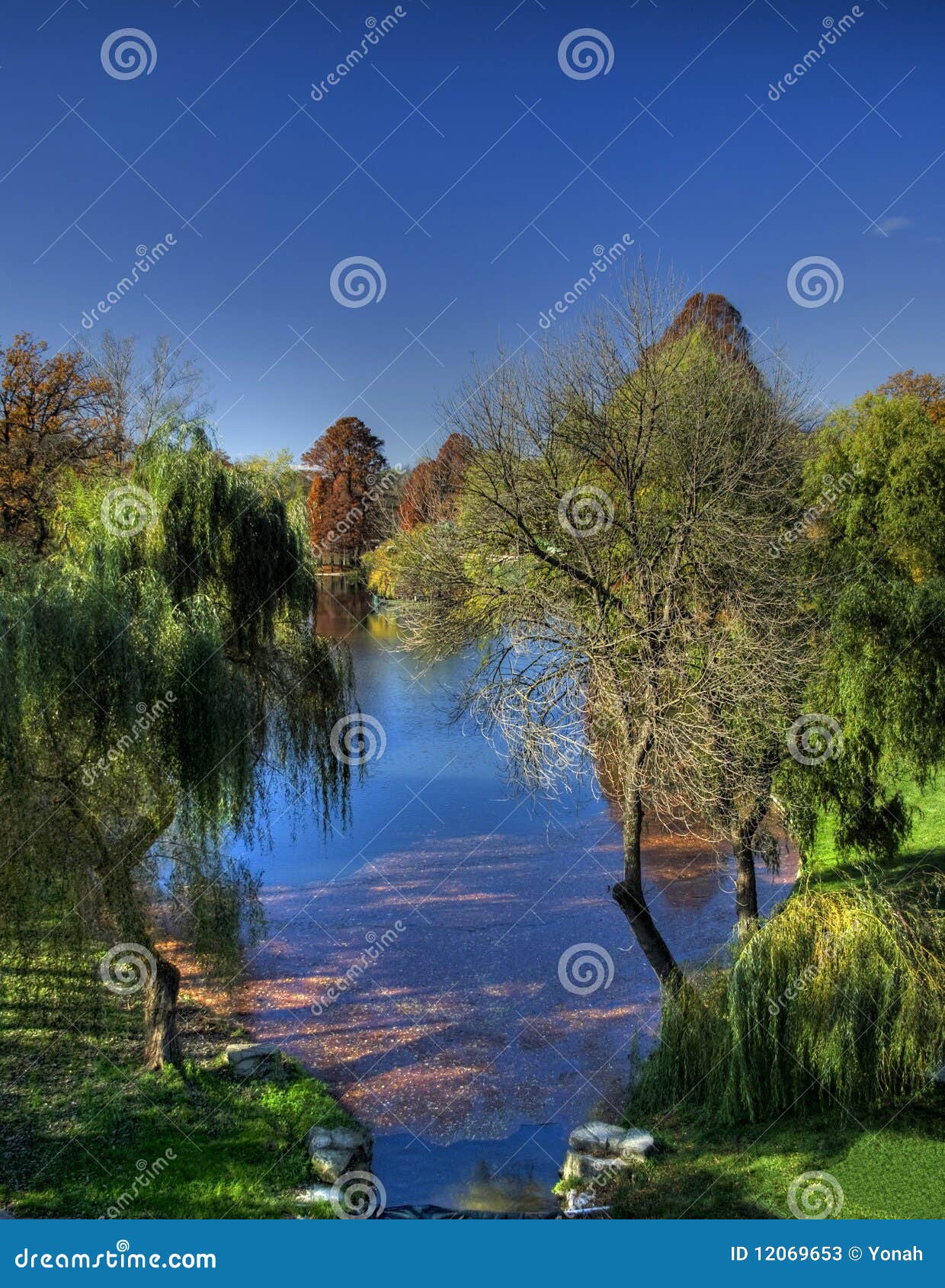 Est European Flora stock image. Image of tree, orange 12069653